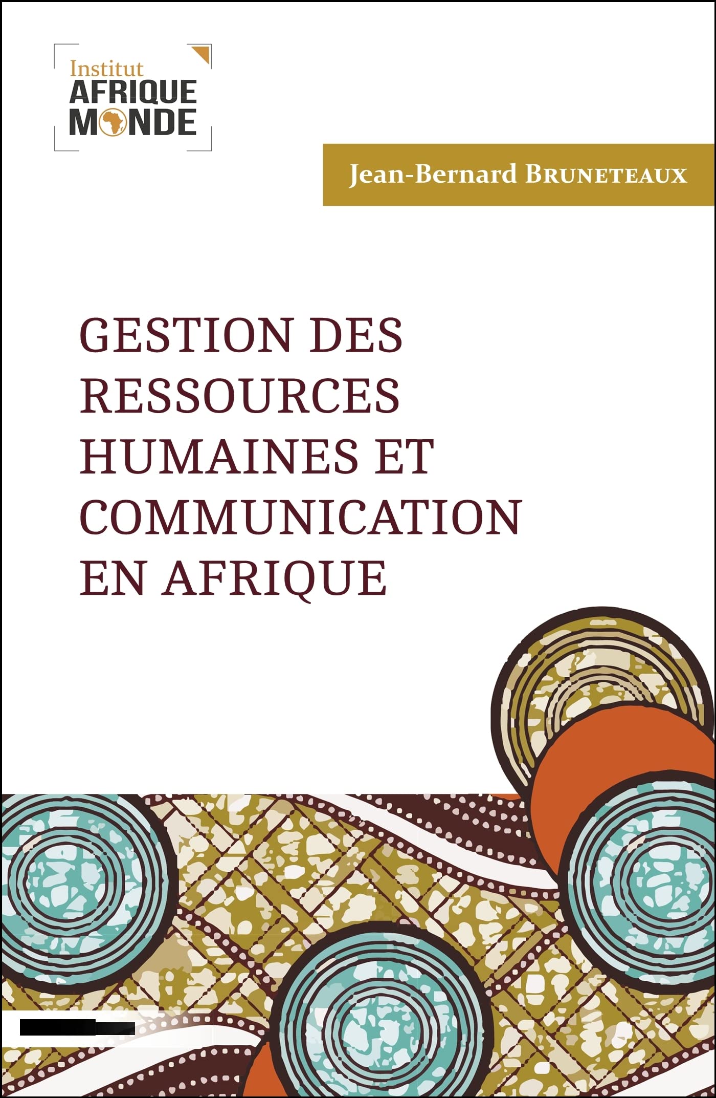 Gestion des ressources humaines et communication en Afrique 9782490801008