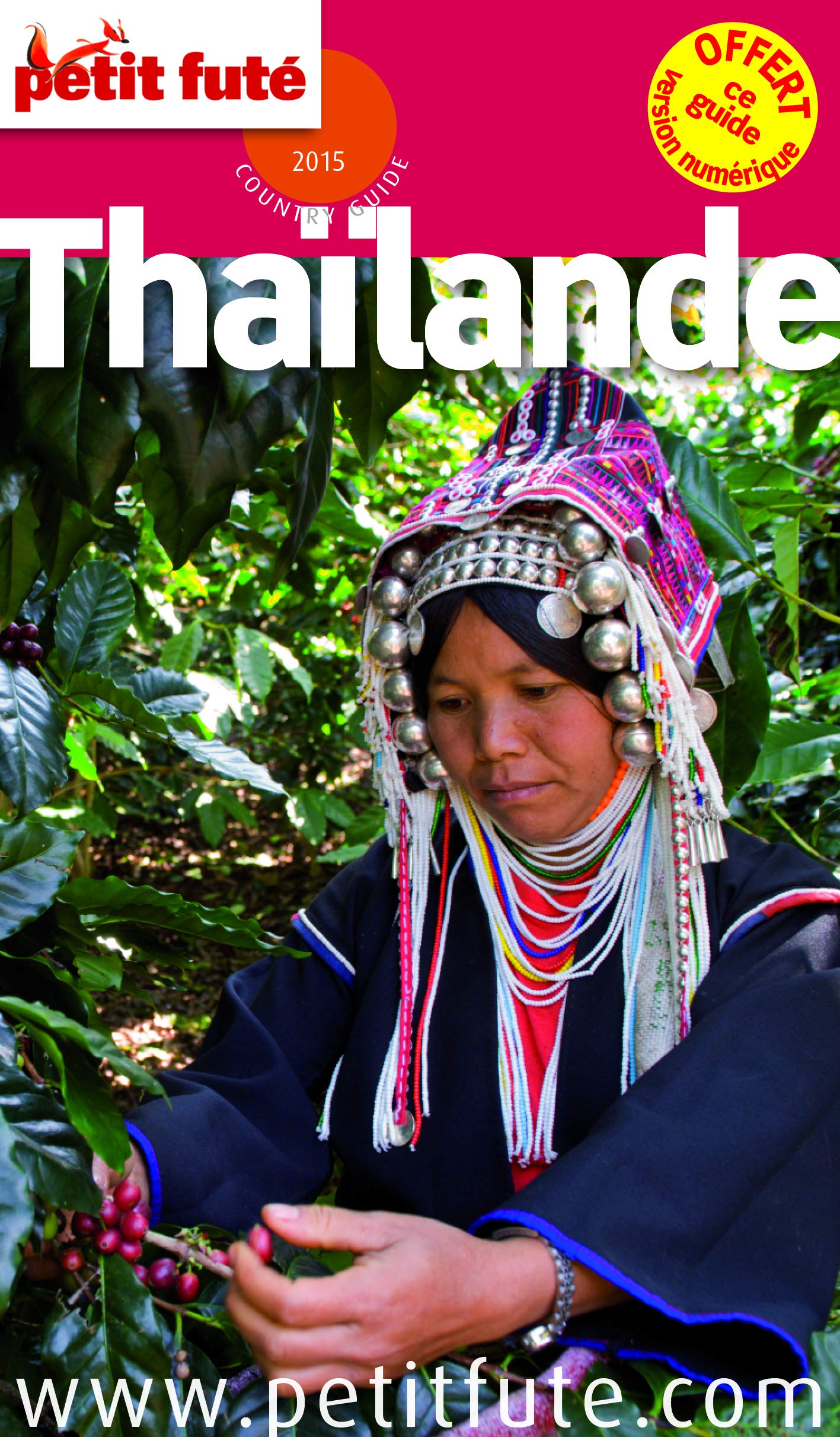 thailande 2015 petit fute 9782746982819