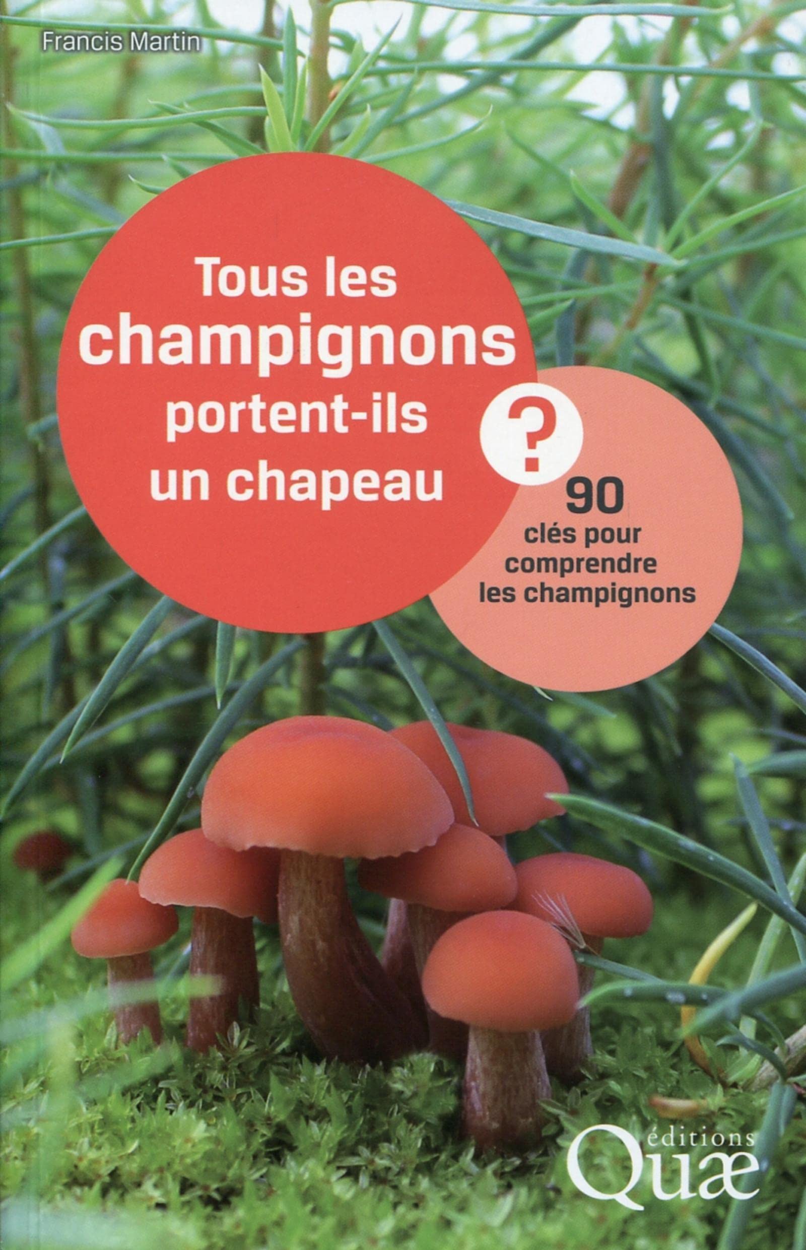 Tous les champignons portent-ils un chapeau ? : 90 clés pour comprendre les champignons 9782759221745