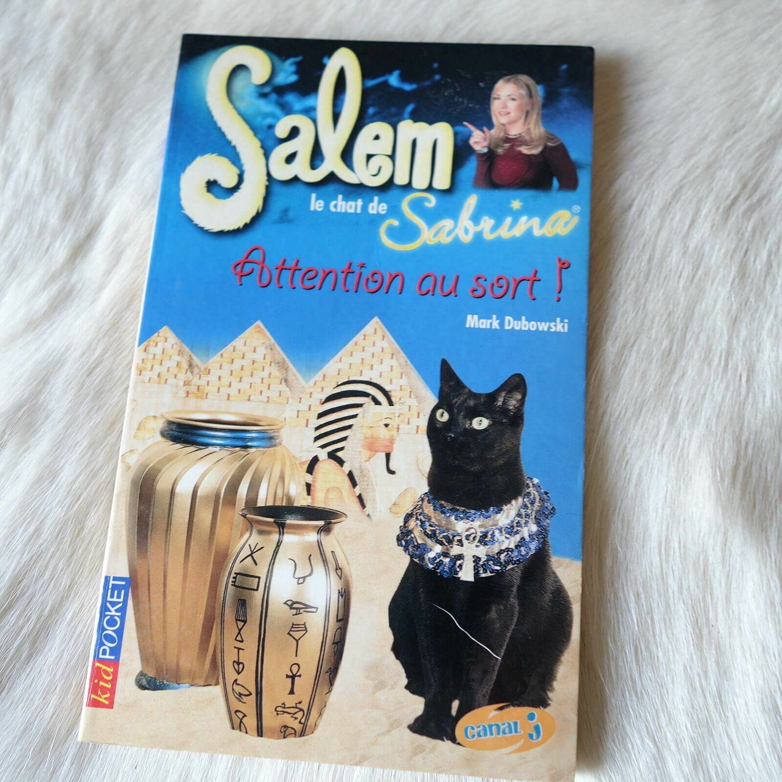 Salem - Attention au sort ! 9782266111904