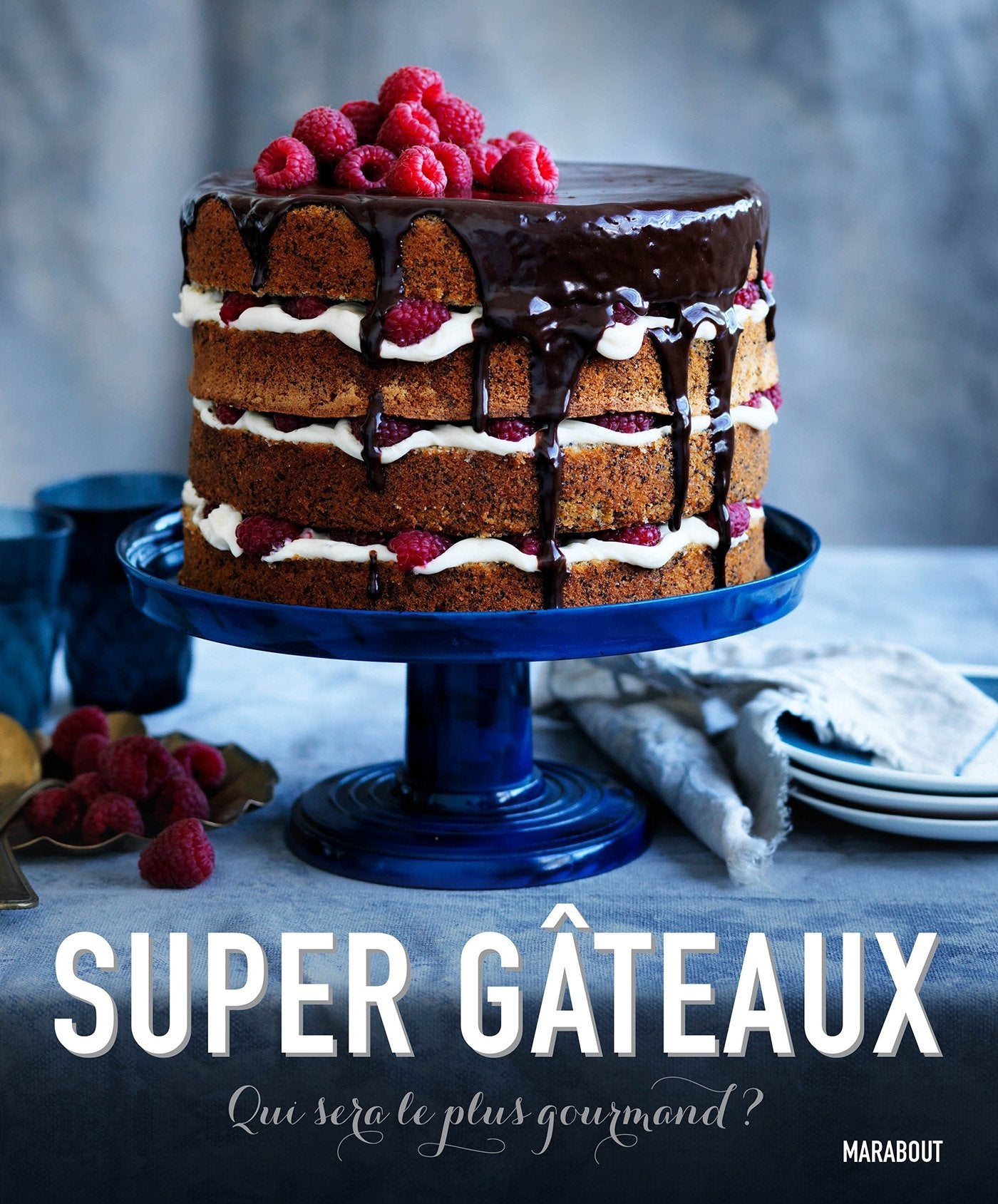 Super Gâteaux 9782501097659