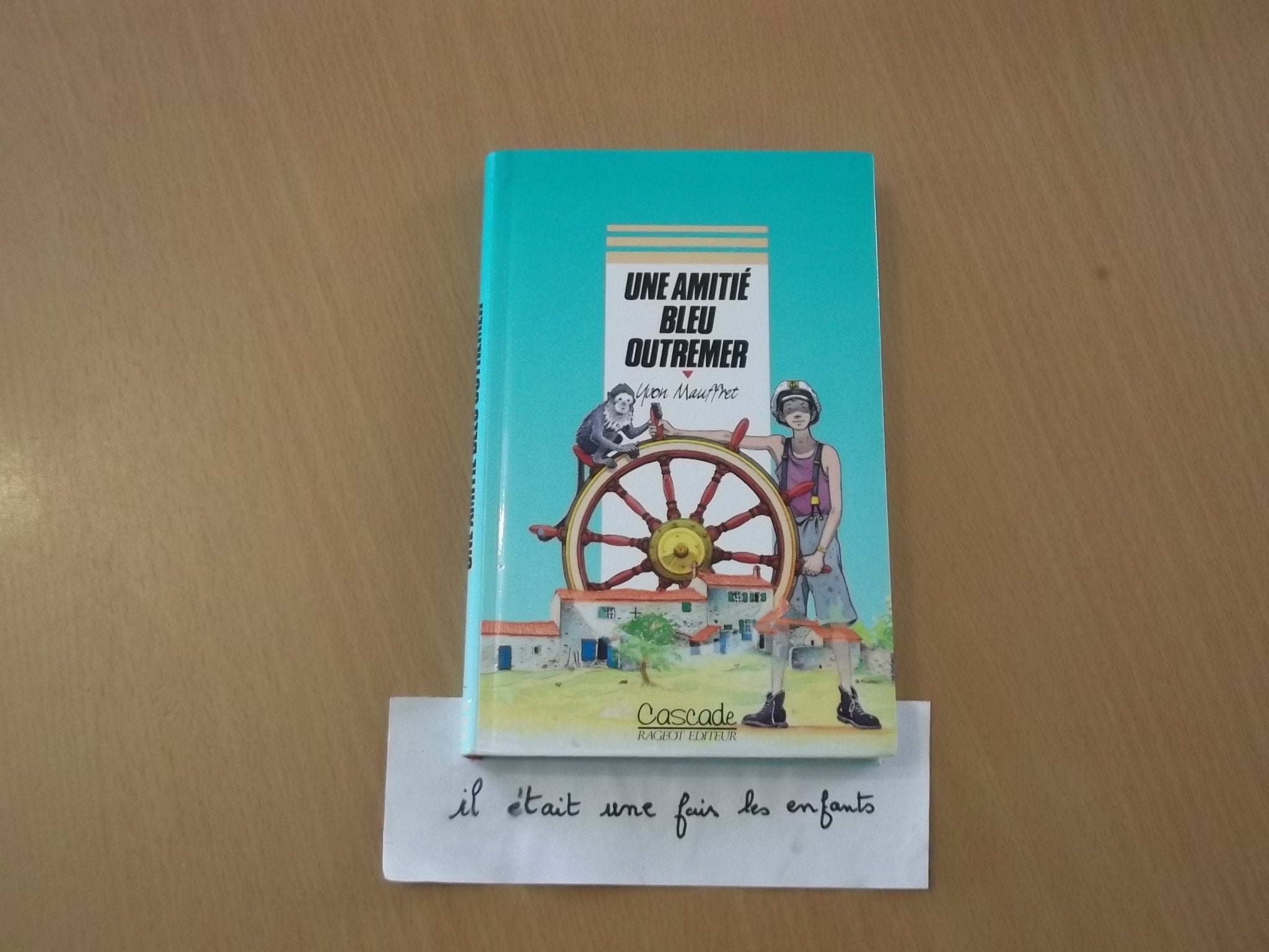 Une amitié bleu outremer 9782700211177