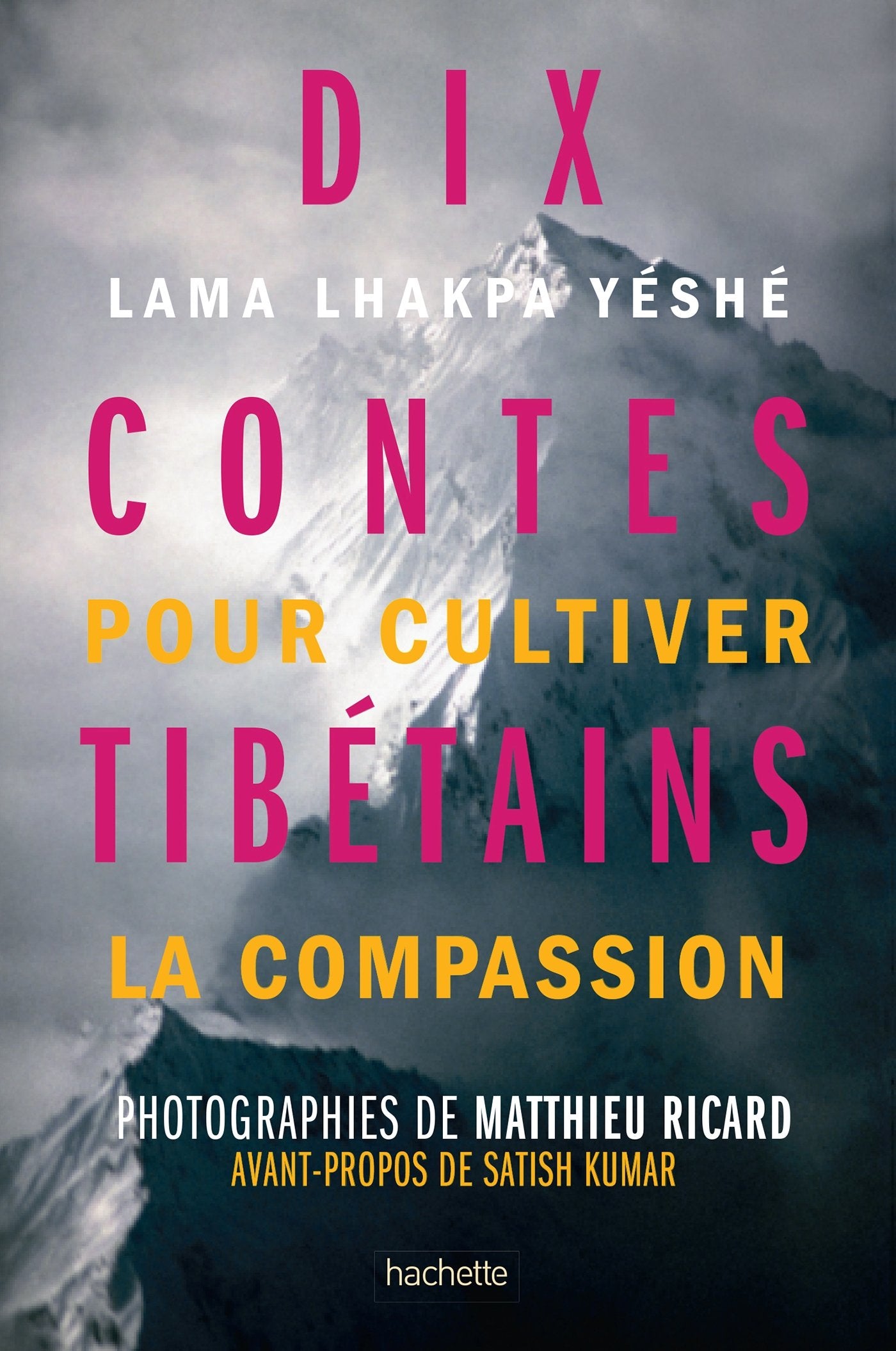 Dix Contes tibétains pour cultiver la compassion 9782013919289