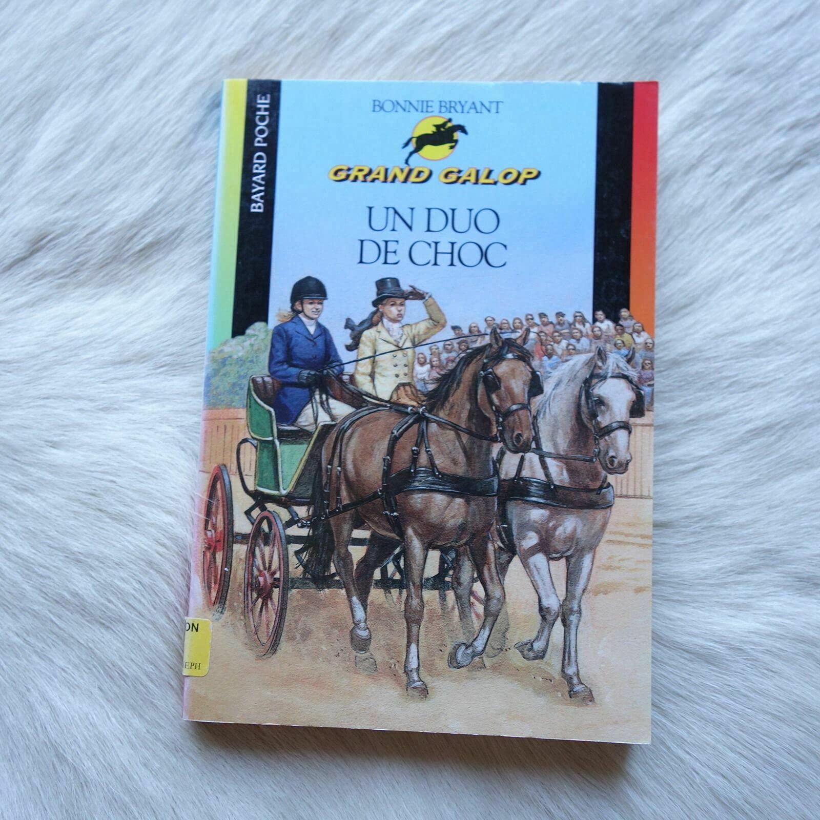 Un duo de choc 9782747015547