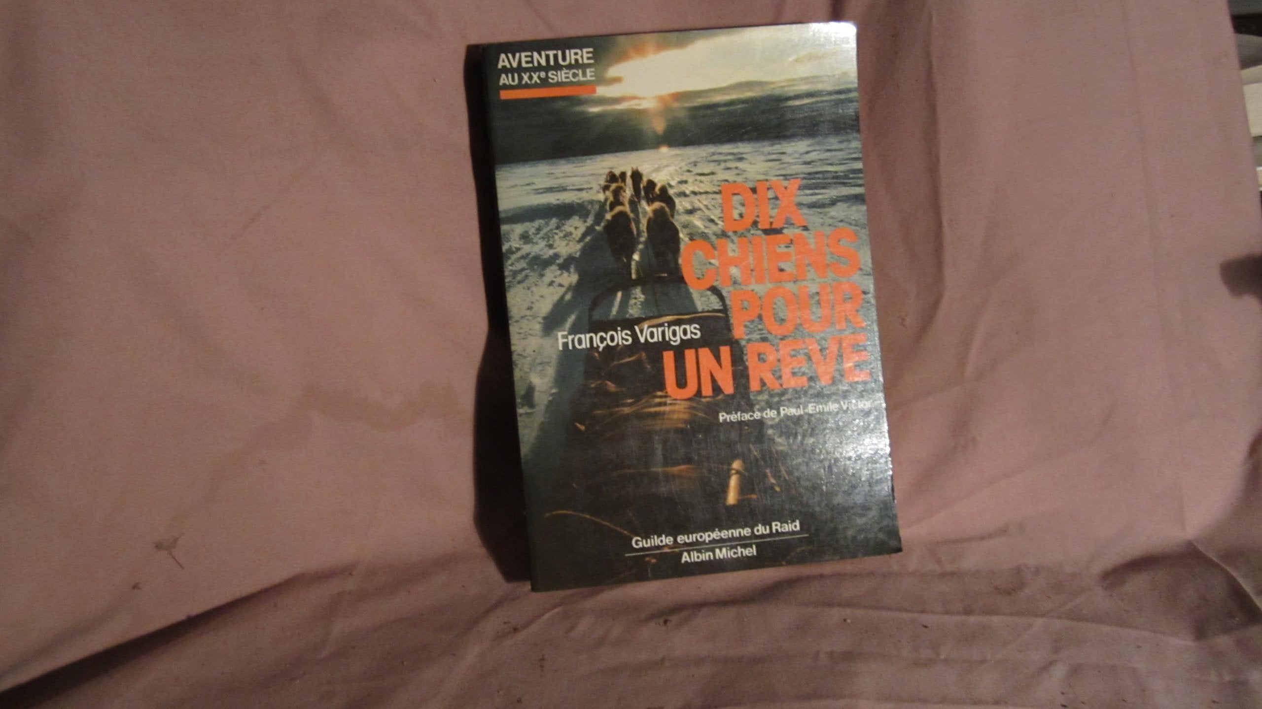 Dix Chiens pour un rêve 9782226019240