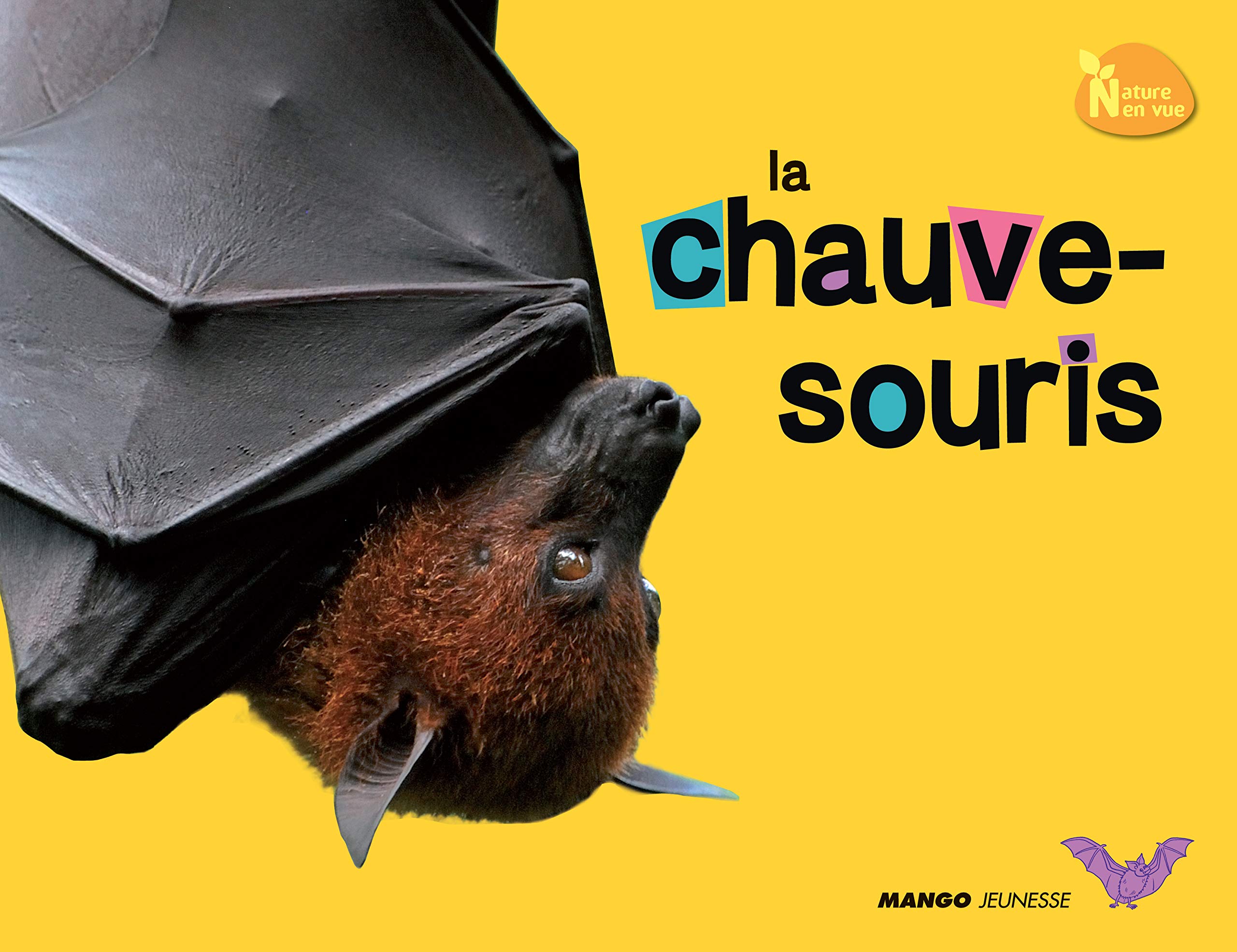 LA CHAUVE SOURIS 9782740430637