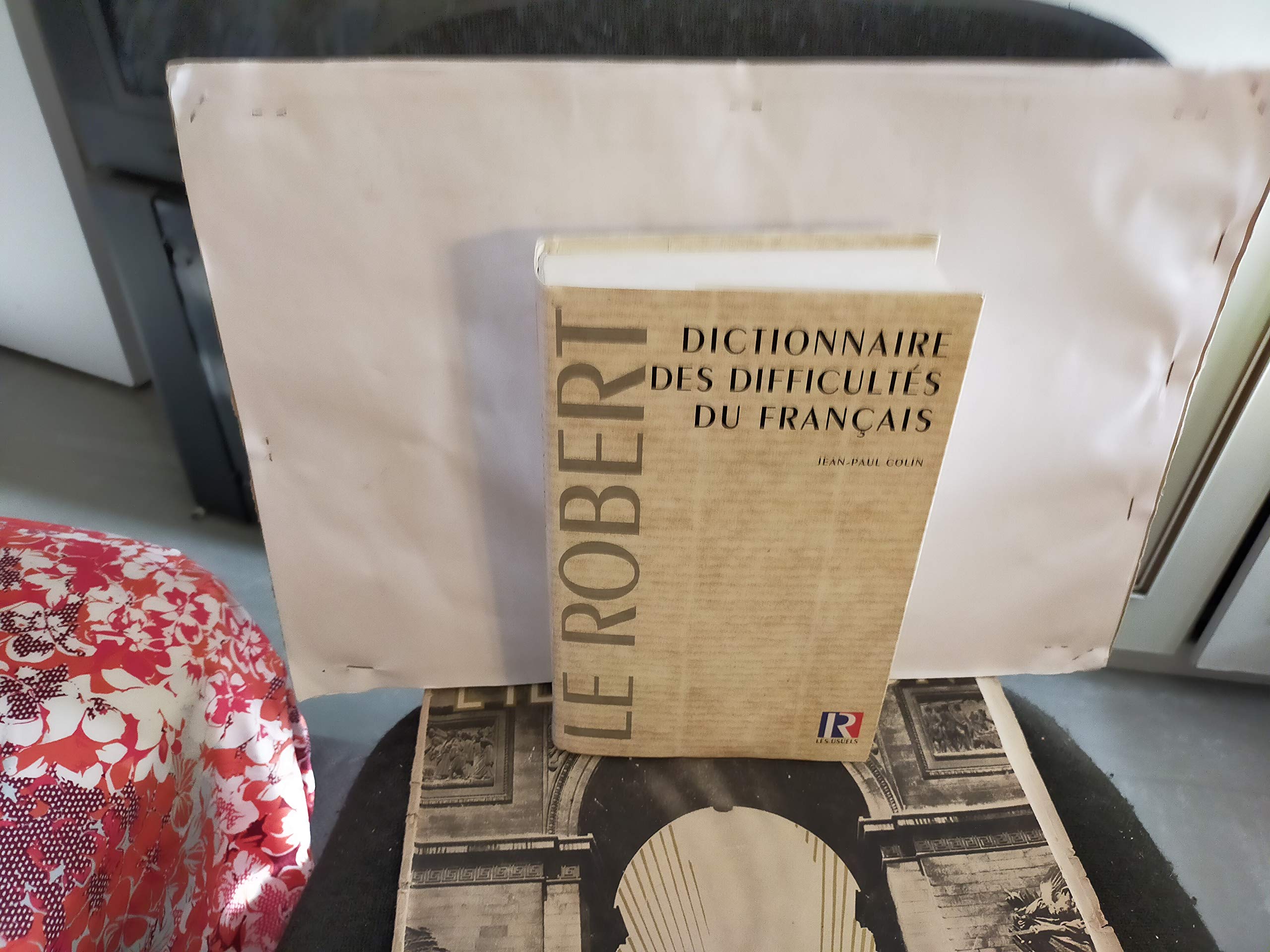 Dictionnaire des difficultés du français 9782850362132