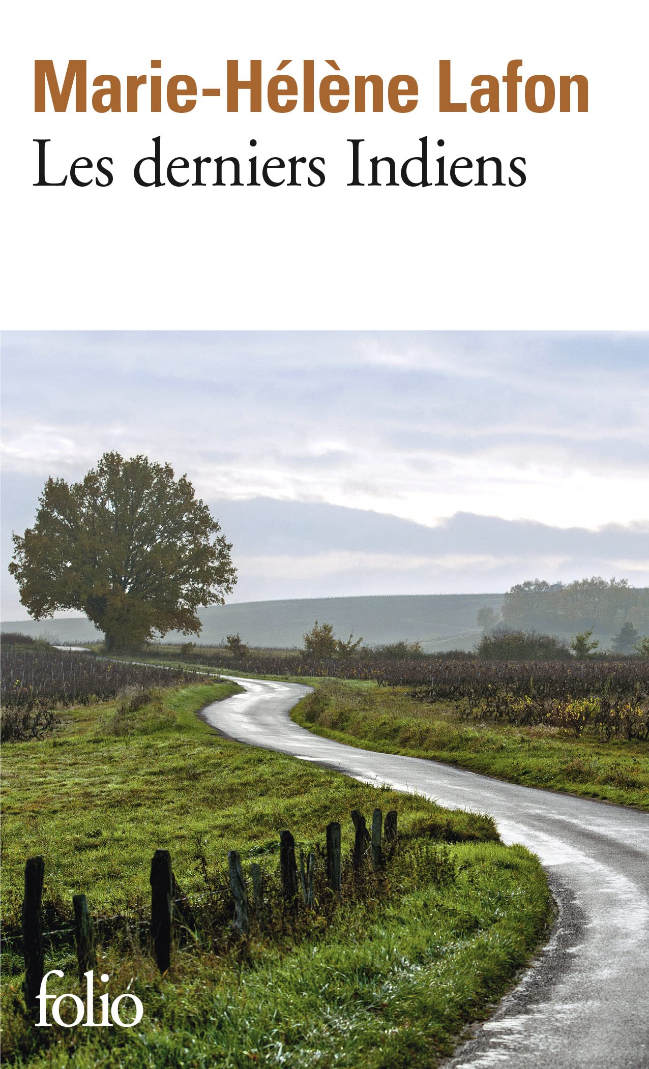 Les derniers Indiens 9782070359363