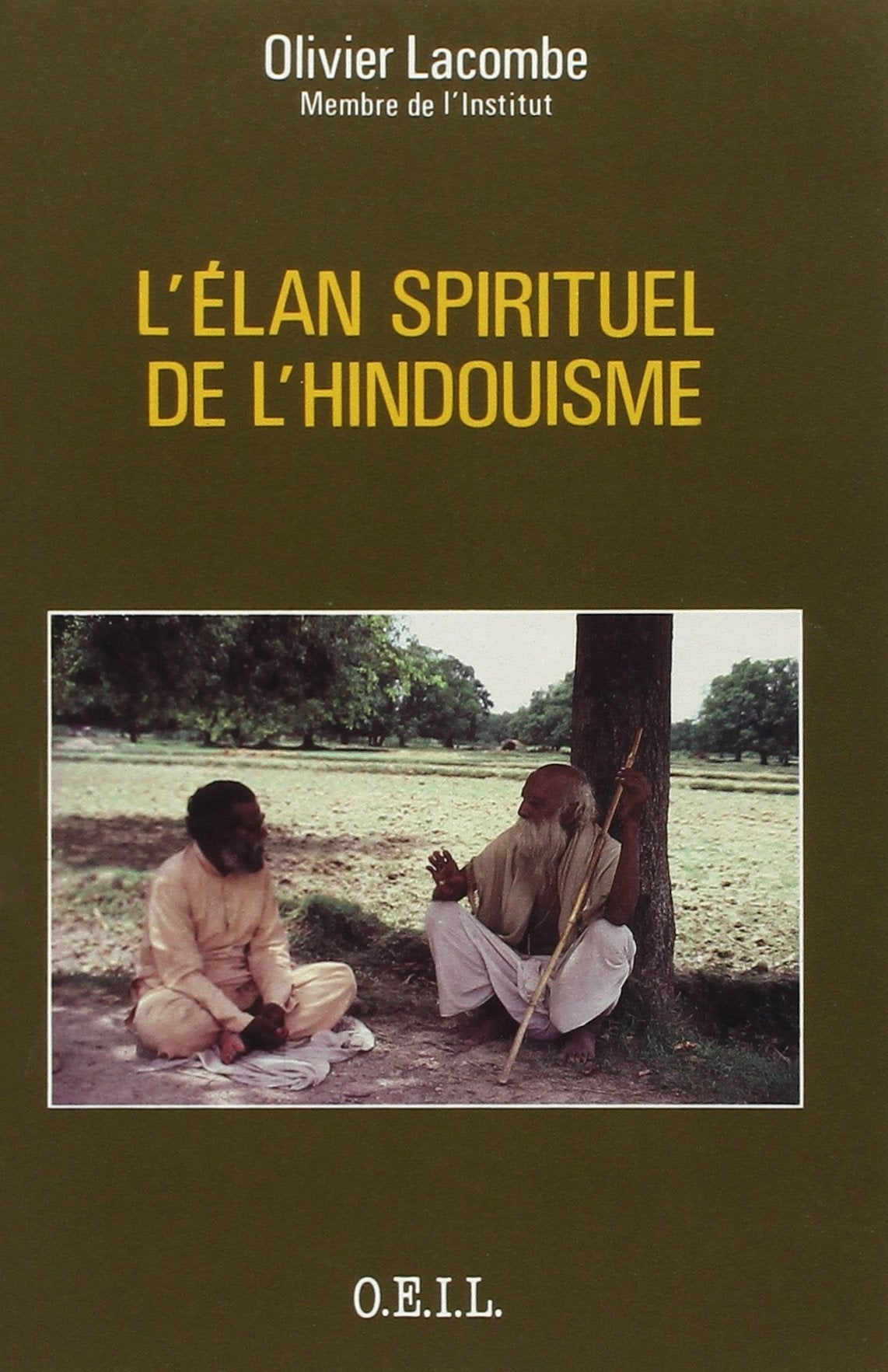 L'Elan spirituel de l'hindouisme 9782868390615