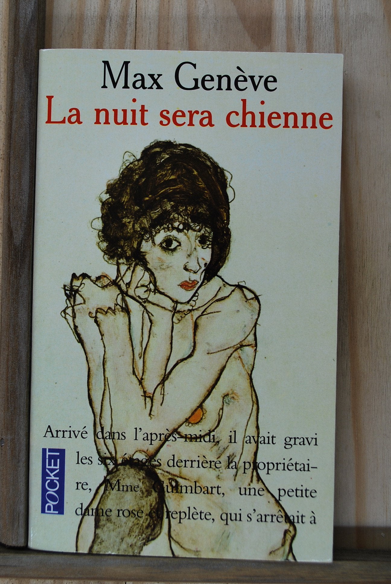 La Nuit sera chienne 9782266063579