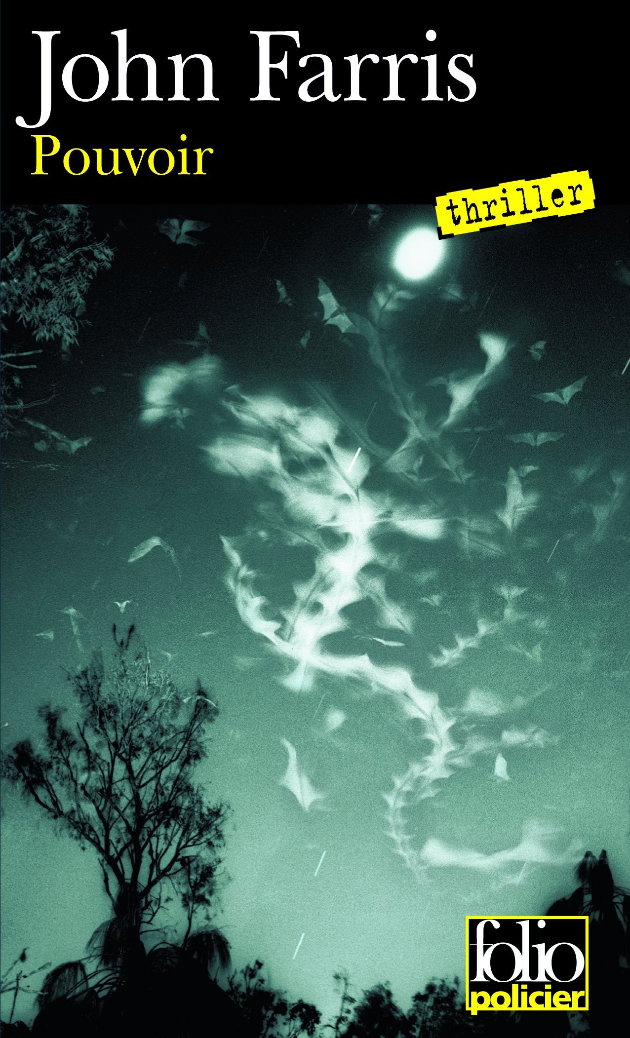 Pouvoir: Le cycle des pouvoirs 9782070319060