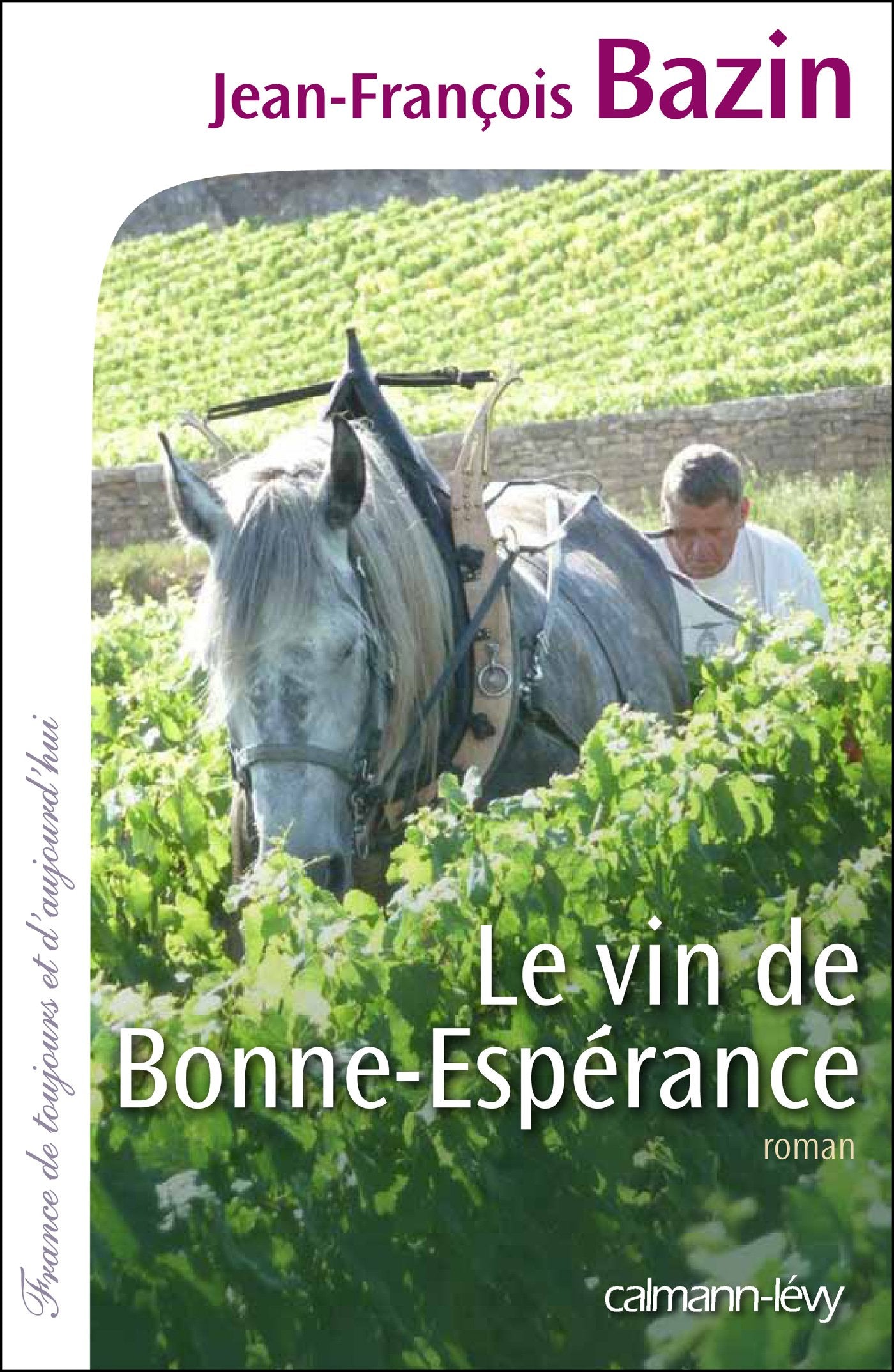 Le Vin de bonne espérance 9782702144107
