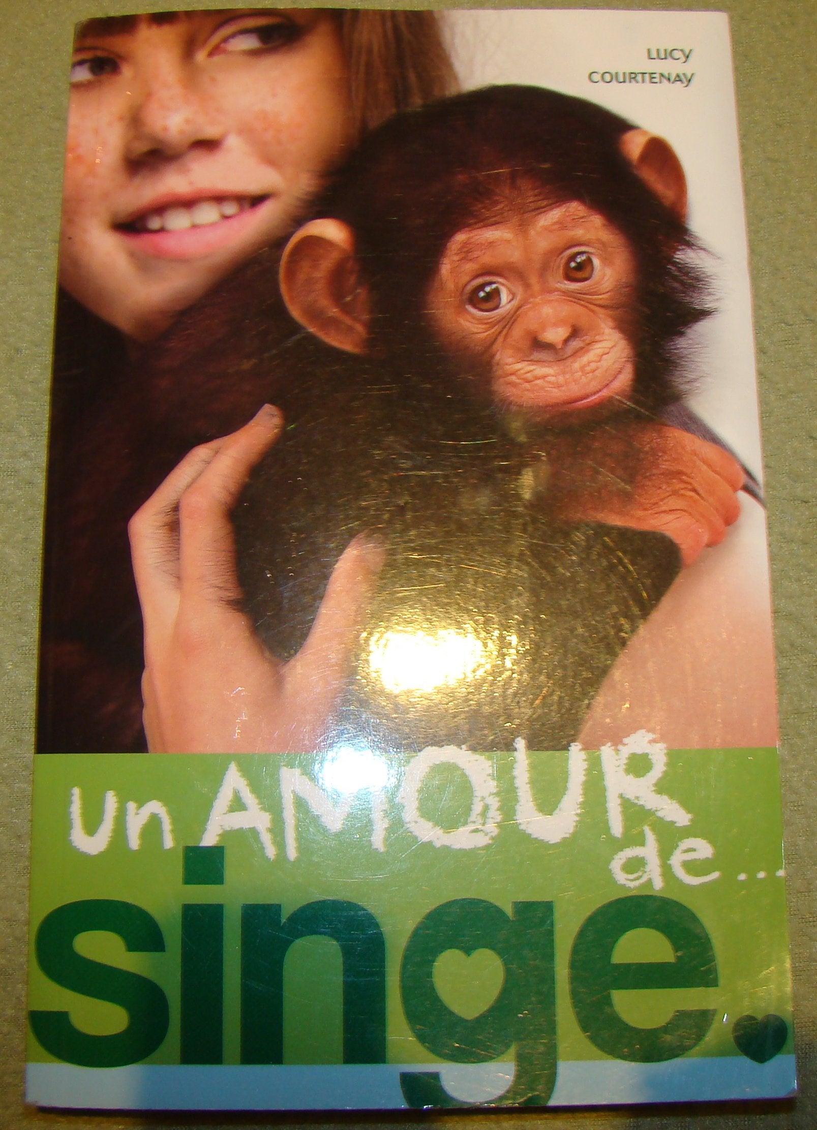 Un amour de singe 9782012027961