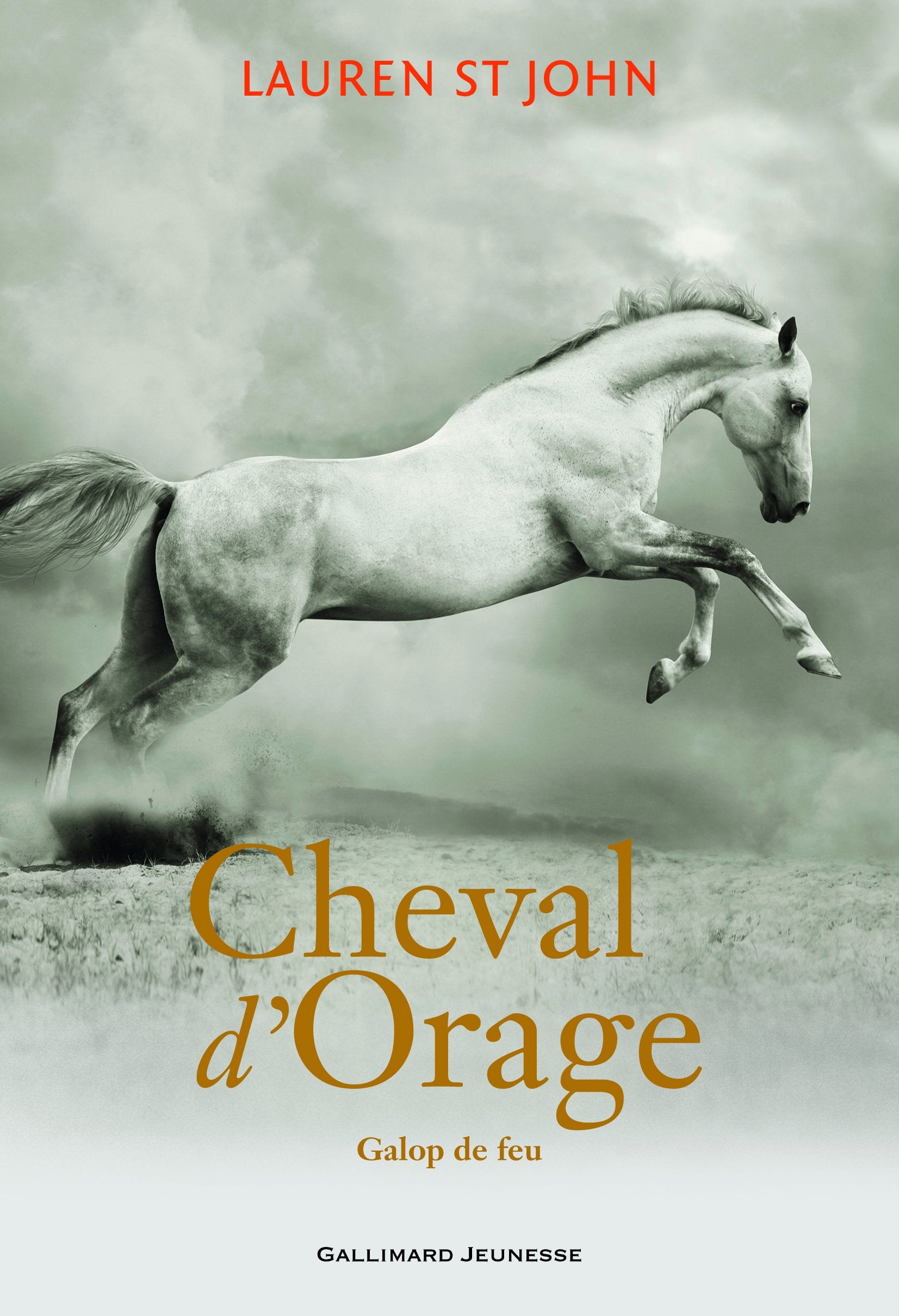Cheval d'Orage: Galop de feu (3) 9782070650392