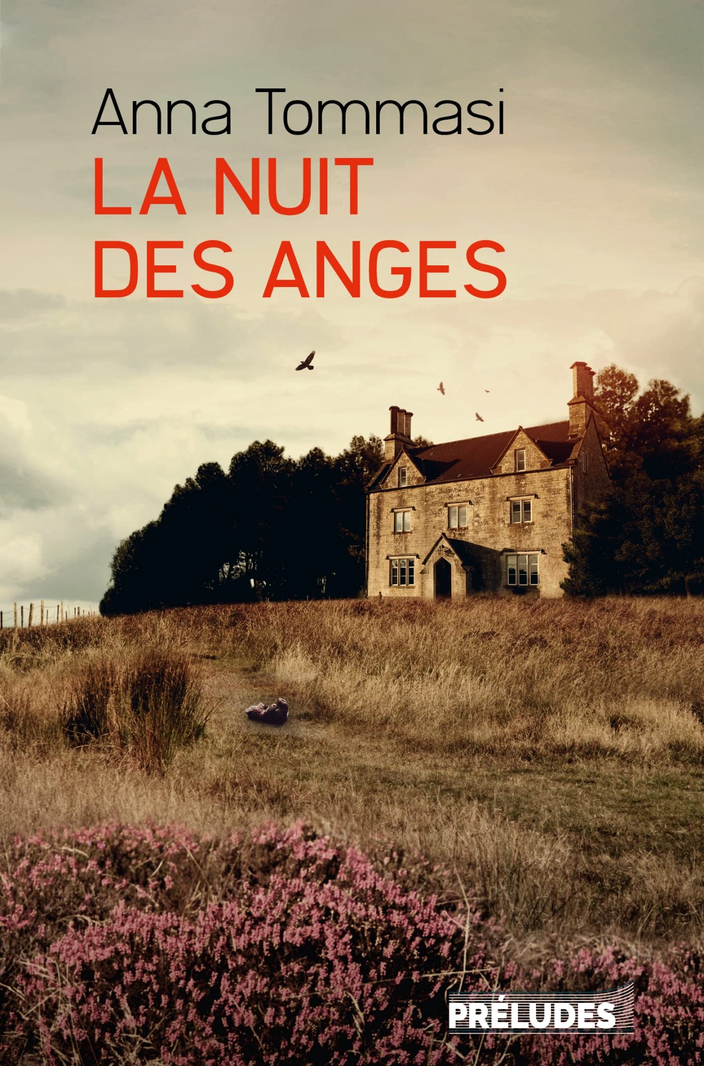 La Nuit des anges 9782253105213