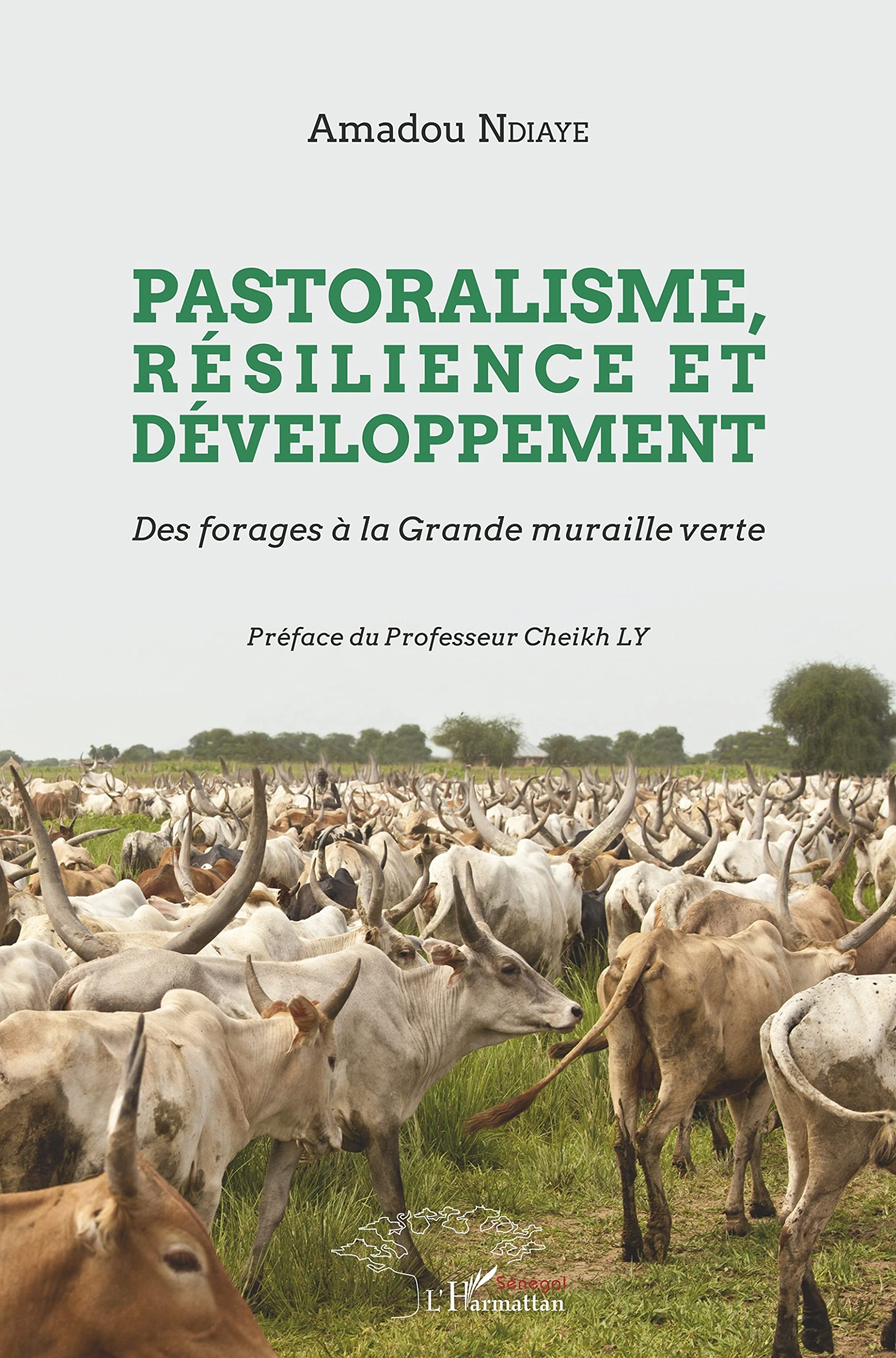 Pastoralisme, résilience et développement: Des forages à la Grande muraille verte 9782343152530