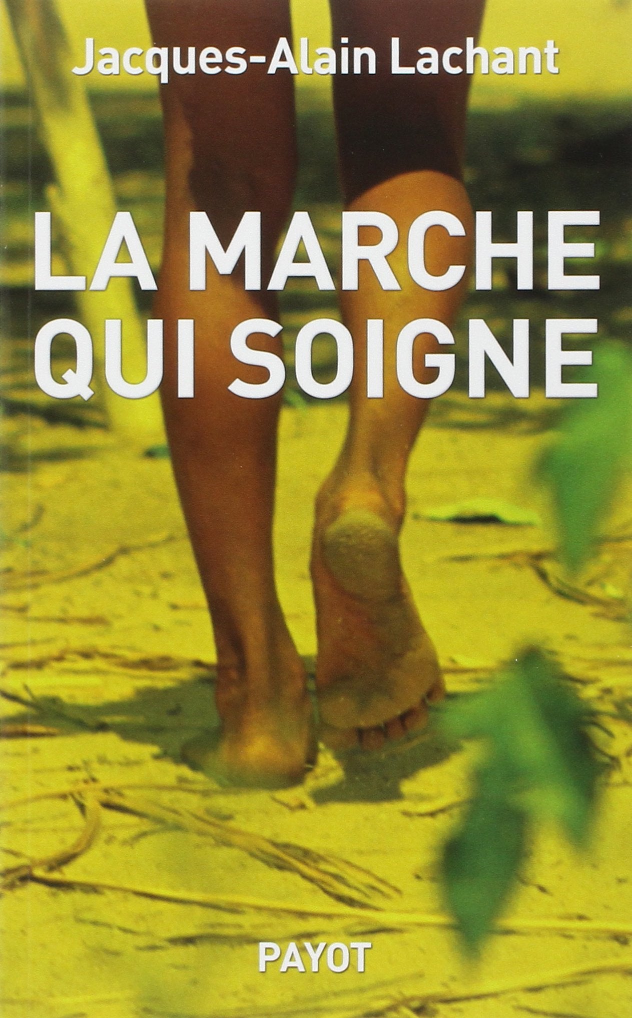 La Marche qui soigne 9782228908580