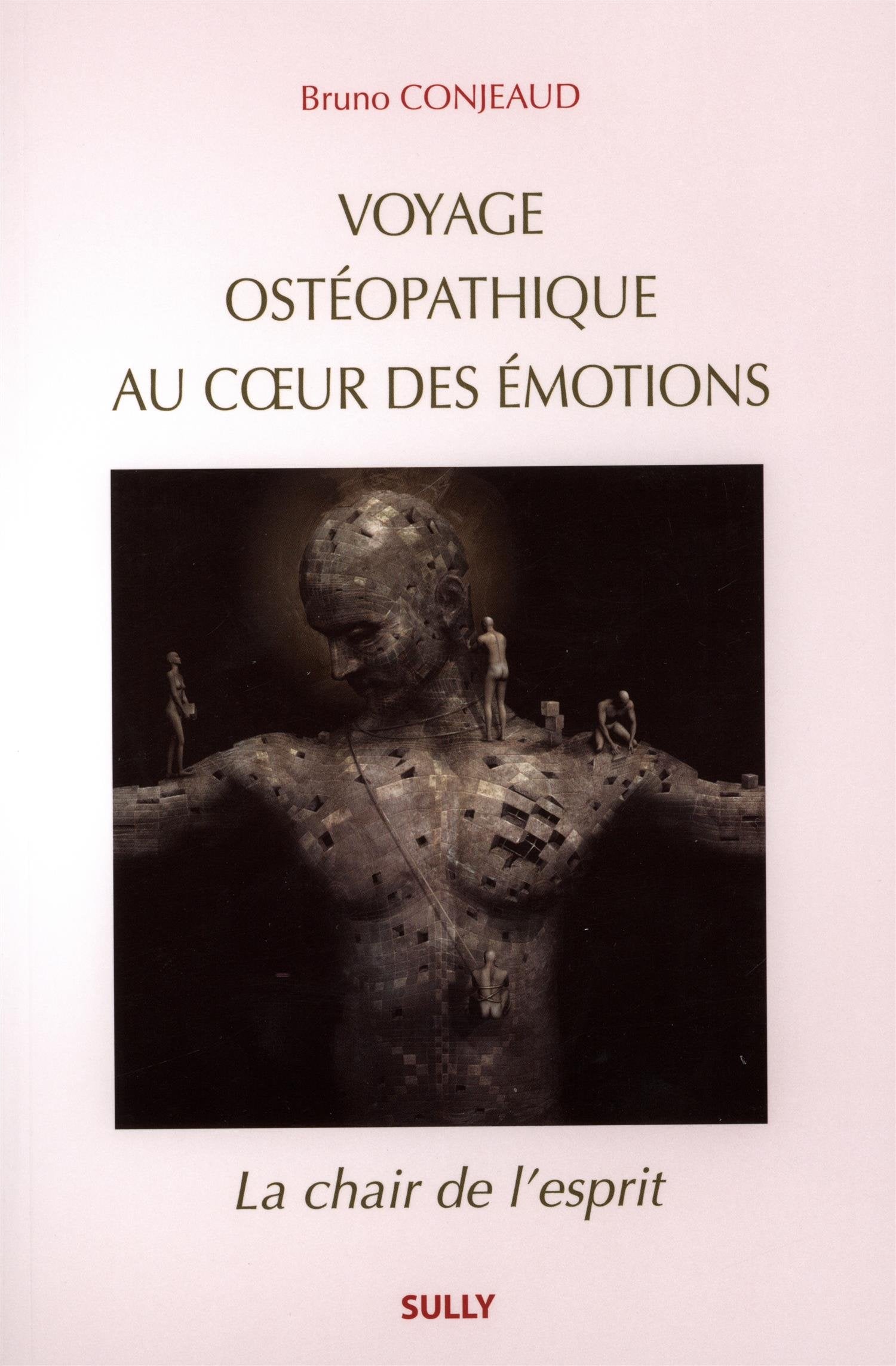 Voyage ostéopathique au coeur des émotions: La chair de l'esprit 9782354321383