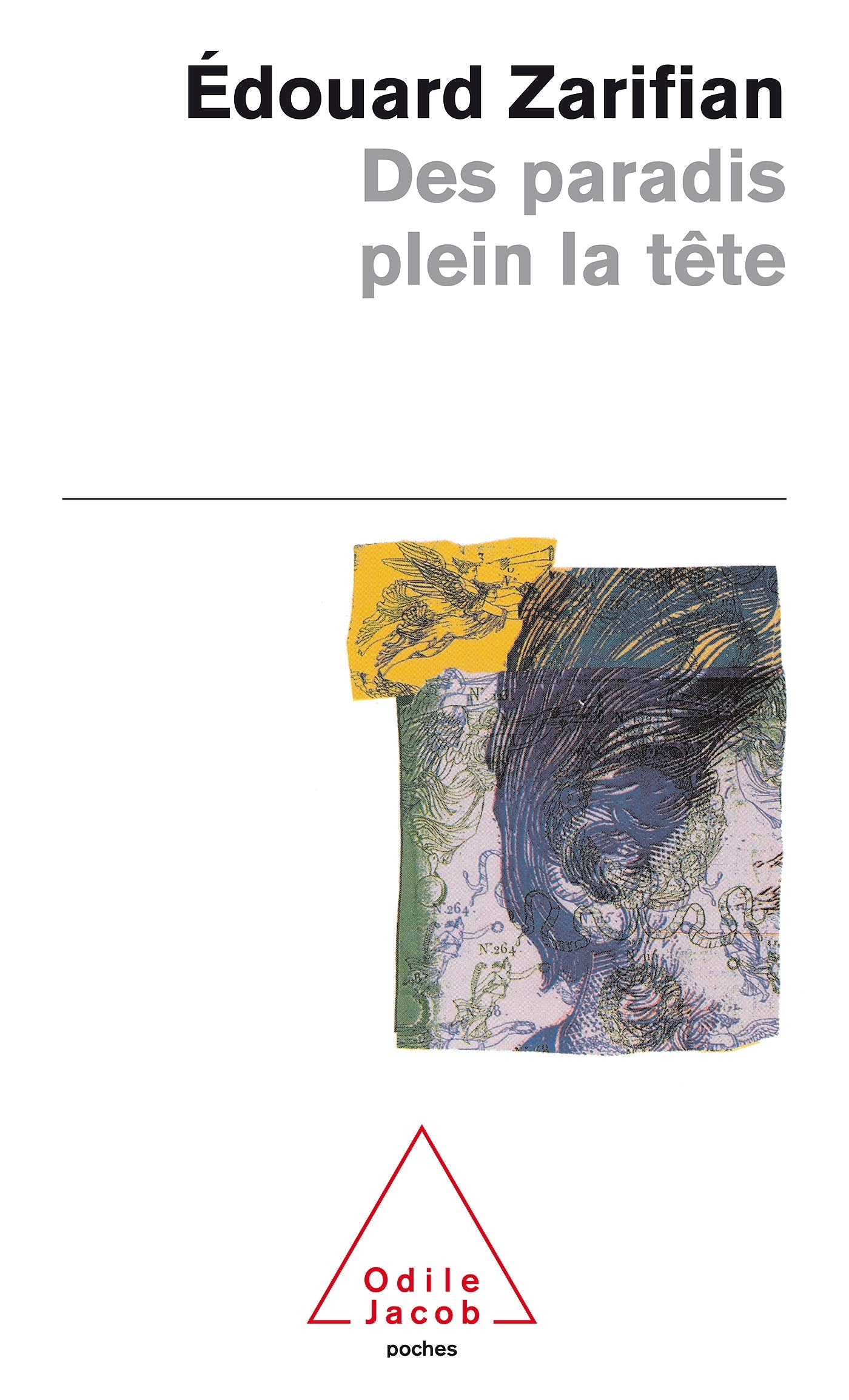 Des paradis plein la tête 9782738108814