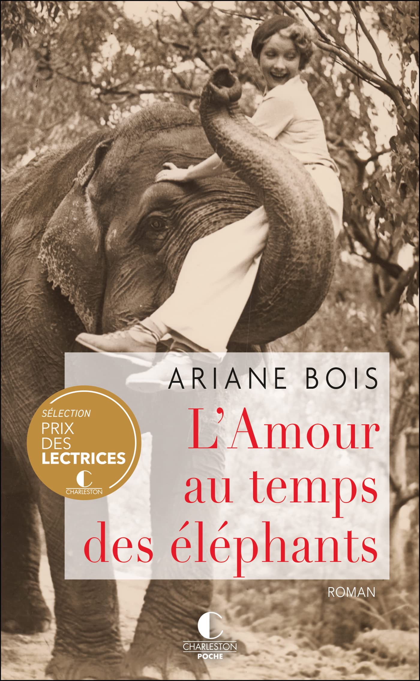 L'Amour au temps des éléphants 9782368127247