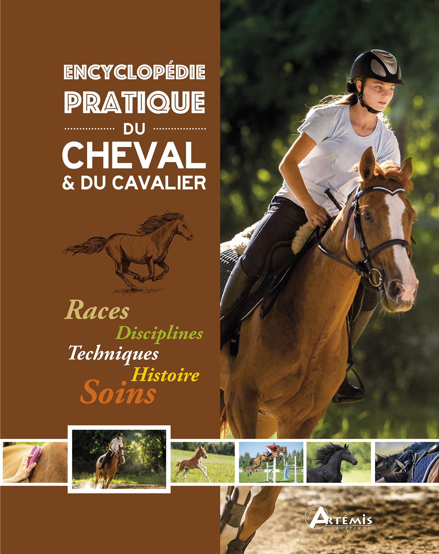 Encyclopédie pratique du cheval & du cavalier 9782816013870