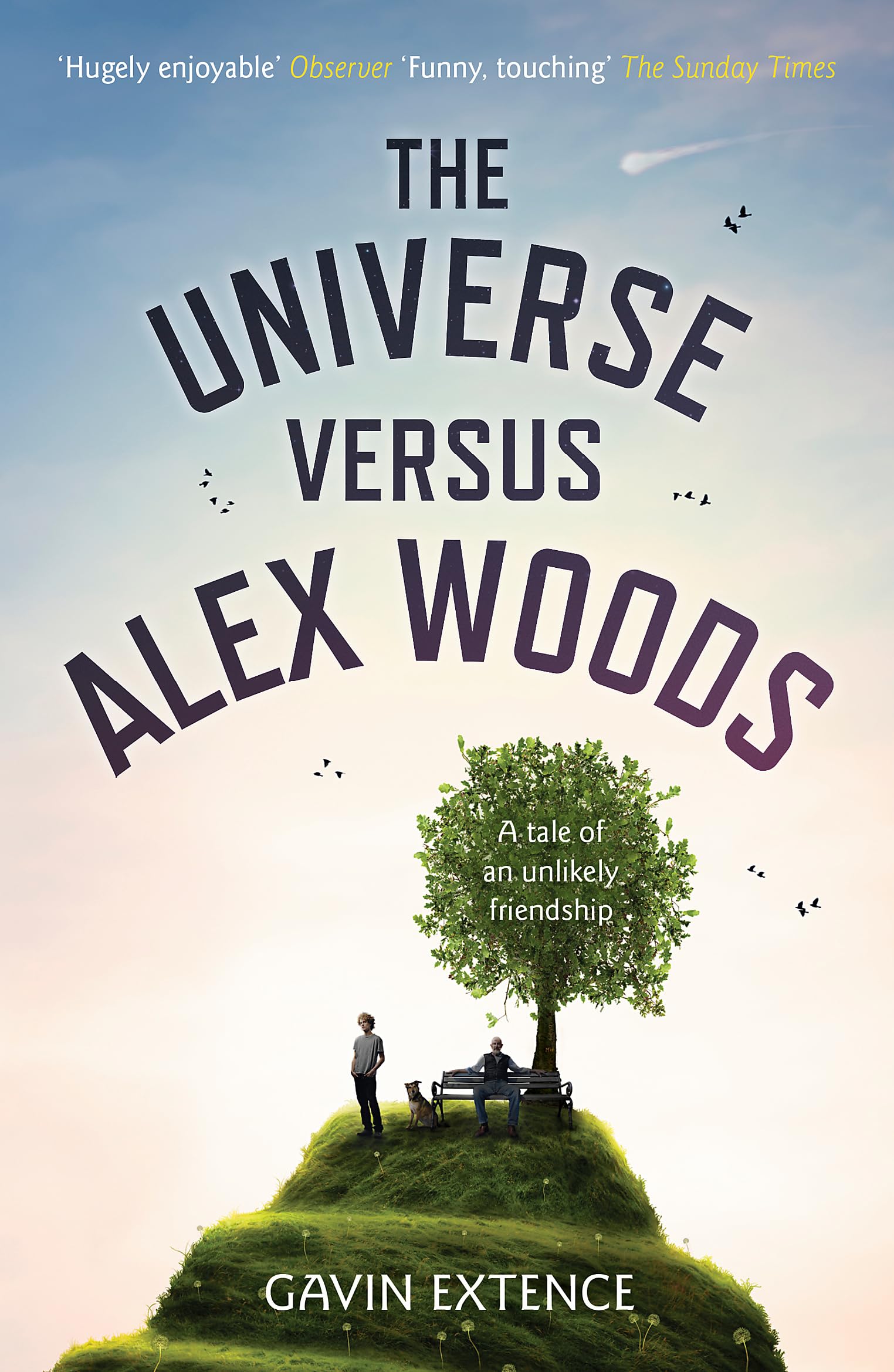 The Universe versus Alex Woods 9781444765892