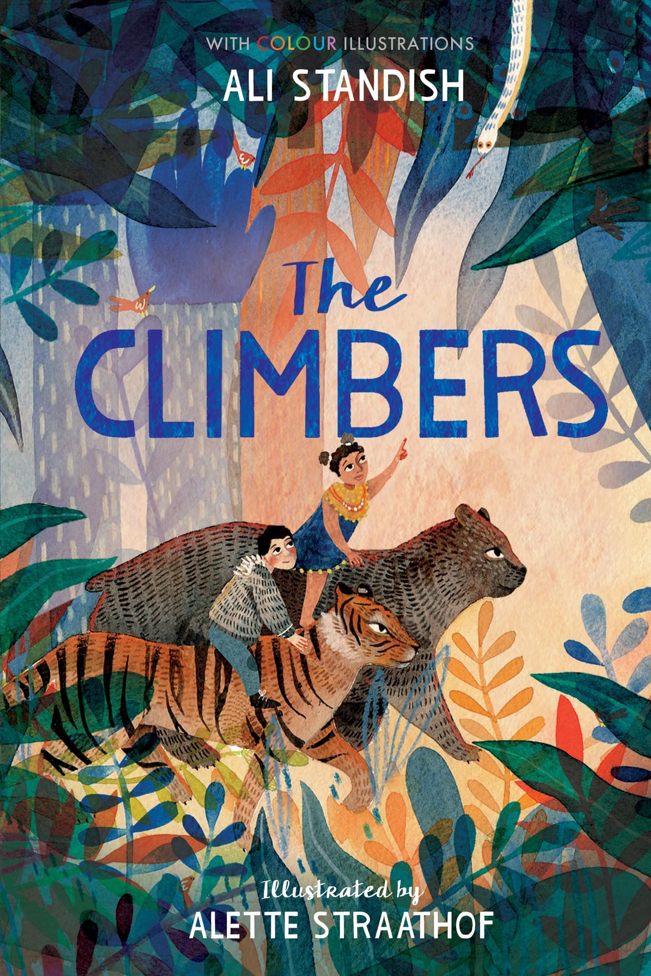 The Climbers: 3 (Colour Fiction (3)) 9781788950381
