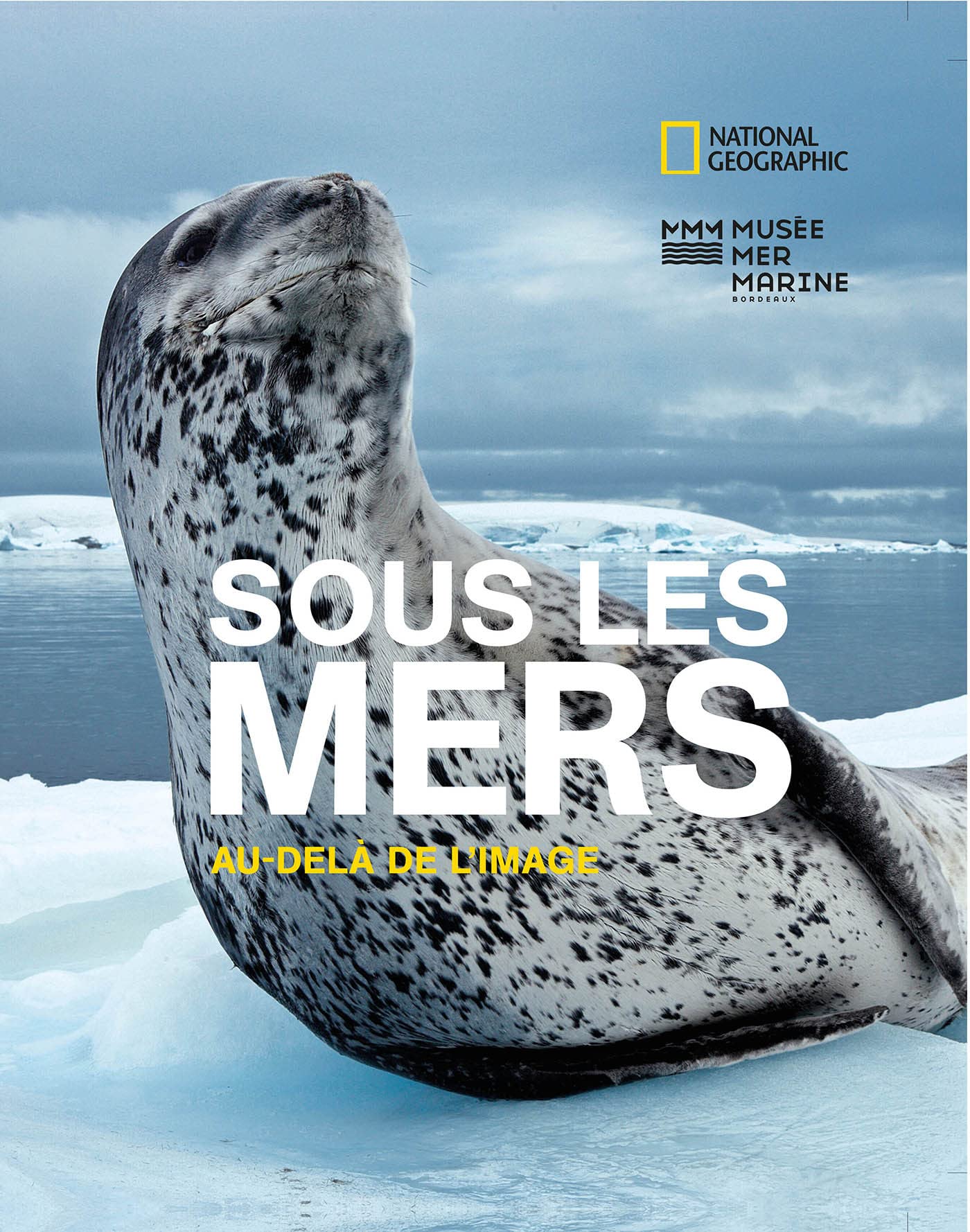 Sous les mers: Au-delà de l'image 9782822902359