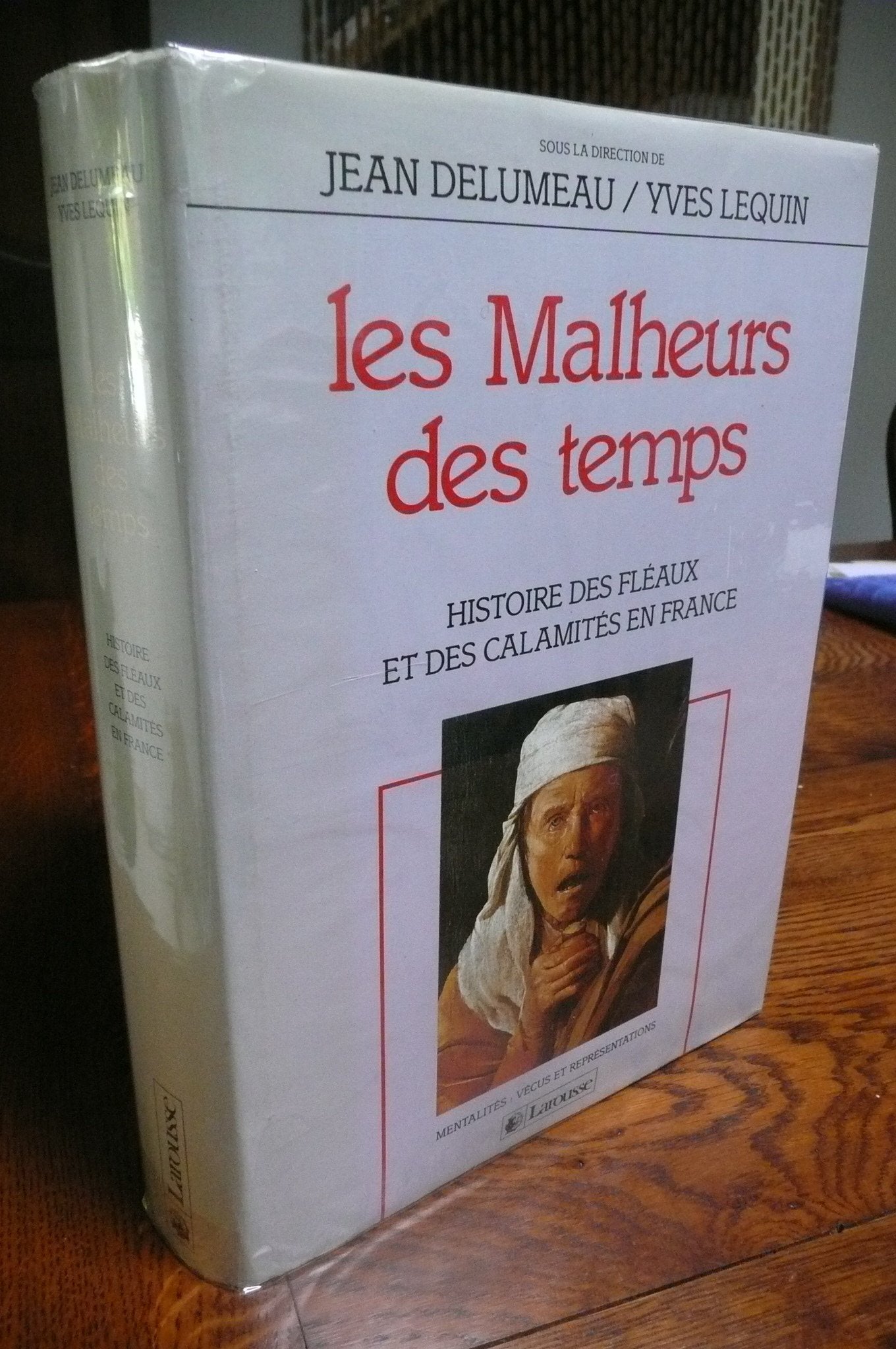 Les Malheurs des temps: Histoire des fléaux et des calamités en France 9782035231093