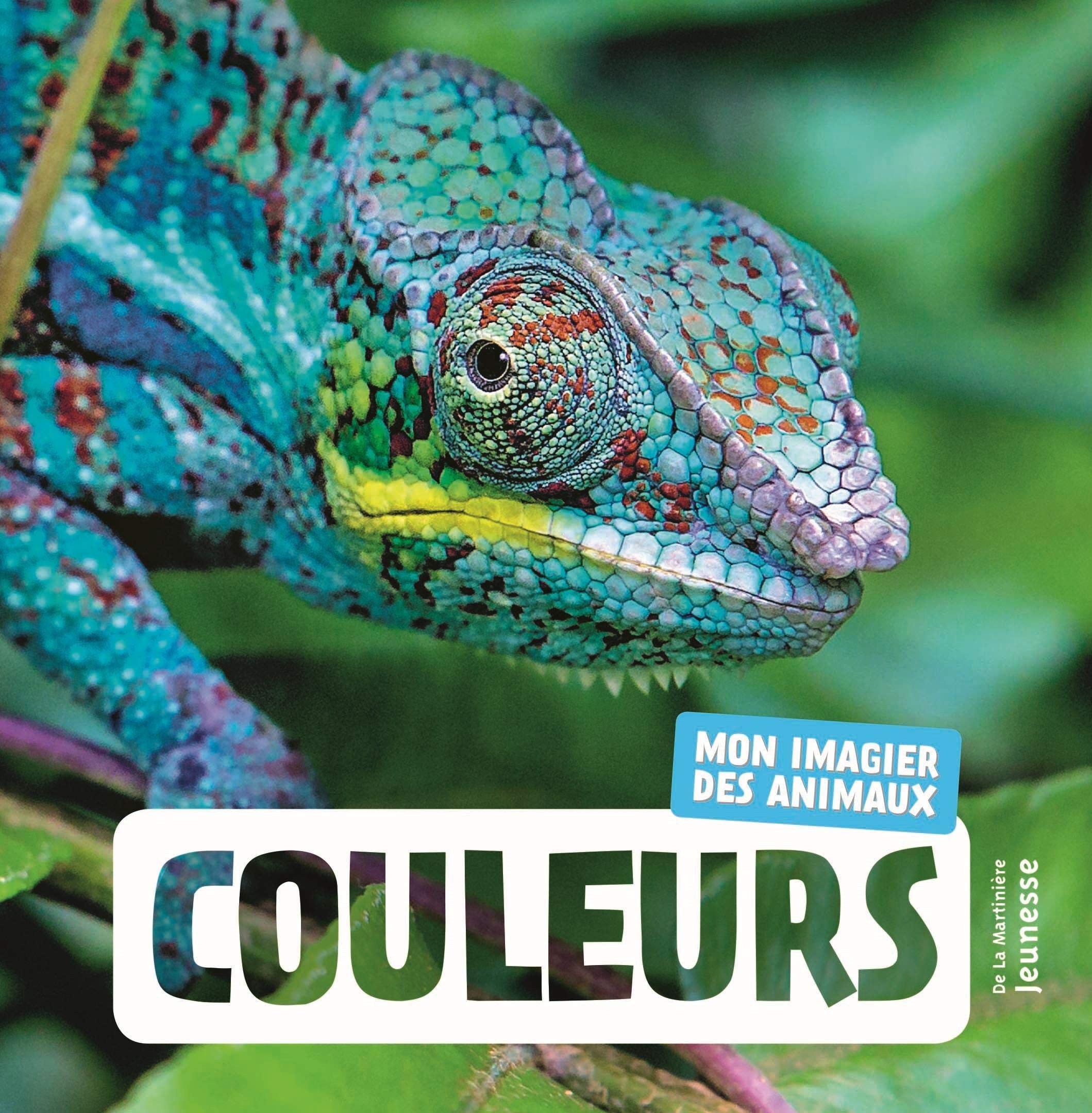 Couleurs: Mon imagier des animaux 9782732490861