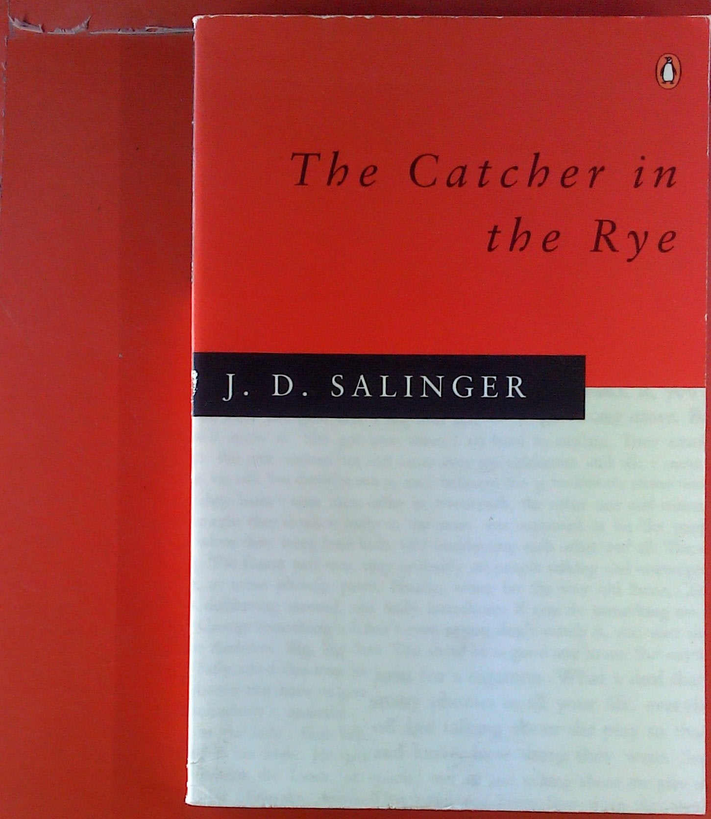 The Catcher in the Rye (en anglais) 9780140237498