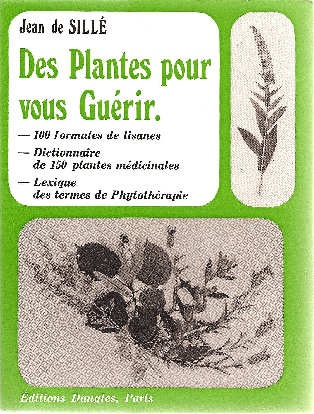 Des plantes pour vous guérir : 100 formules de tisanes 9782703301134