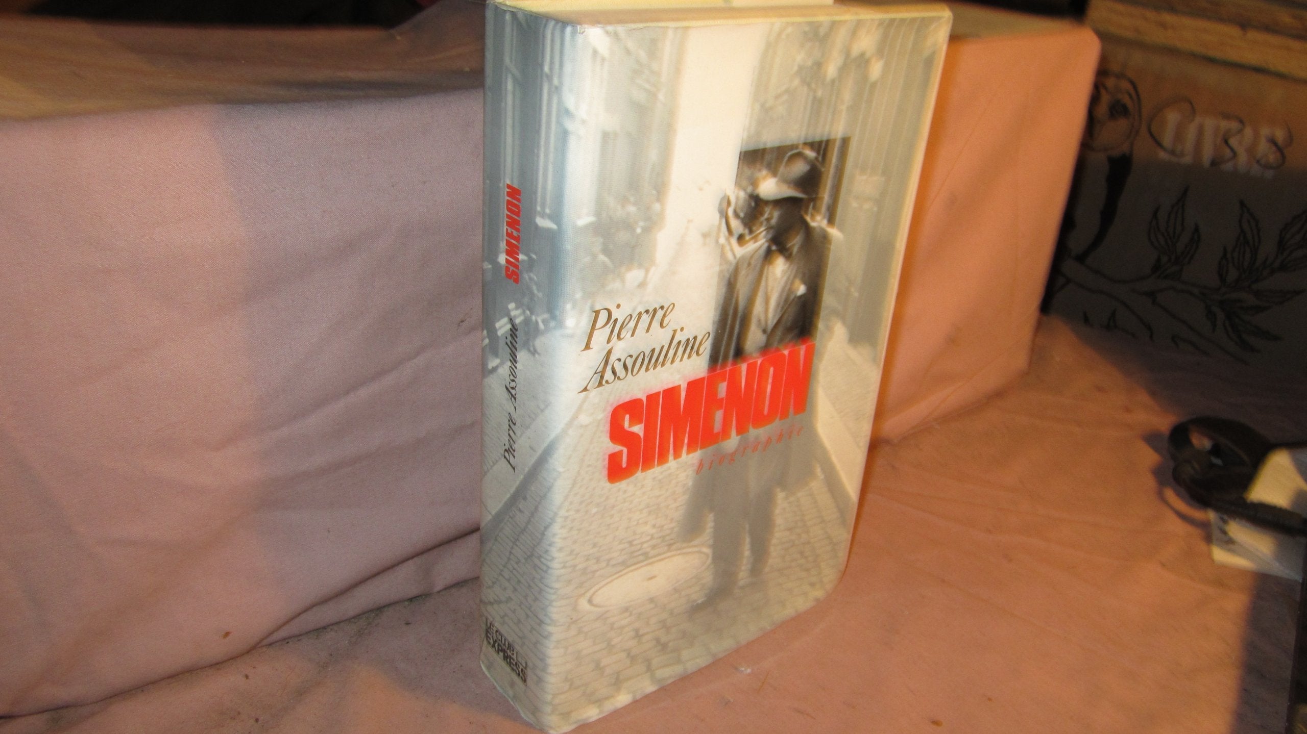 Simenon biographie. 9782286001766