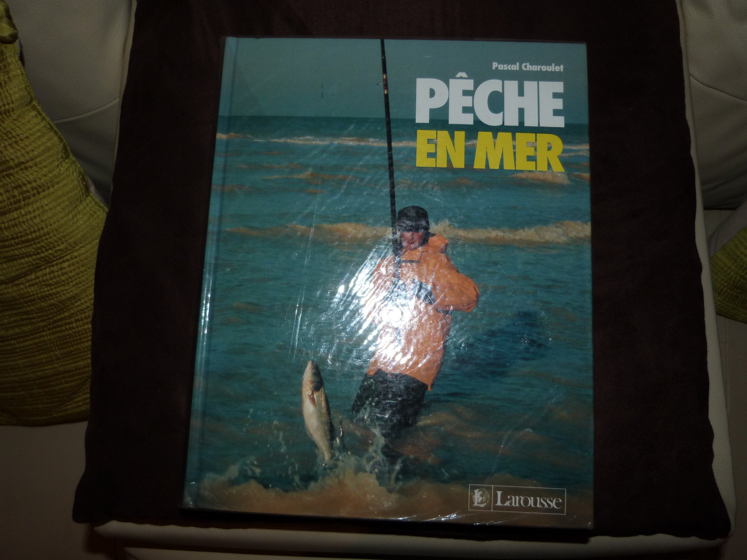 Pêche en mer 9782035181121