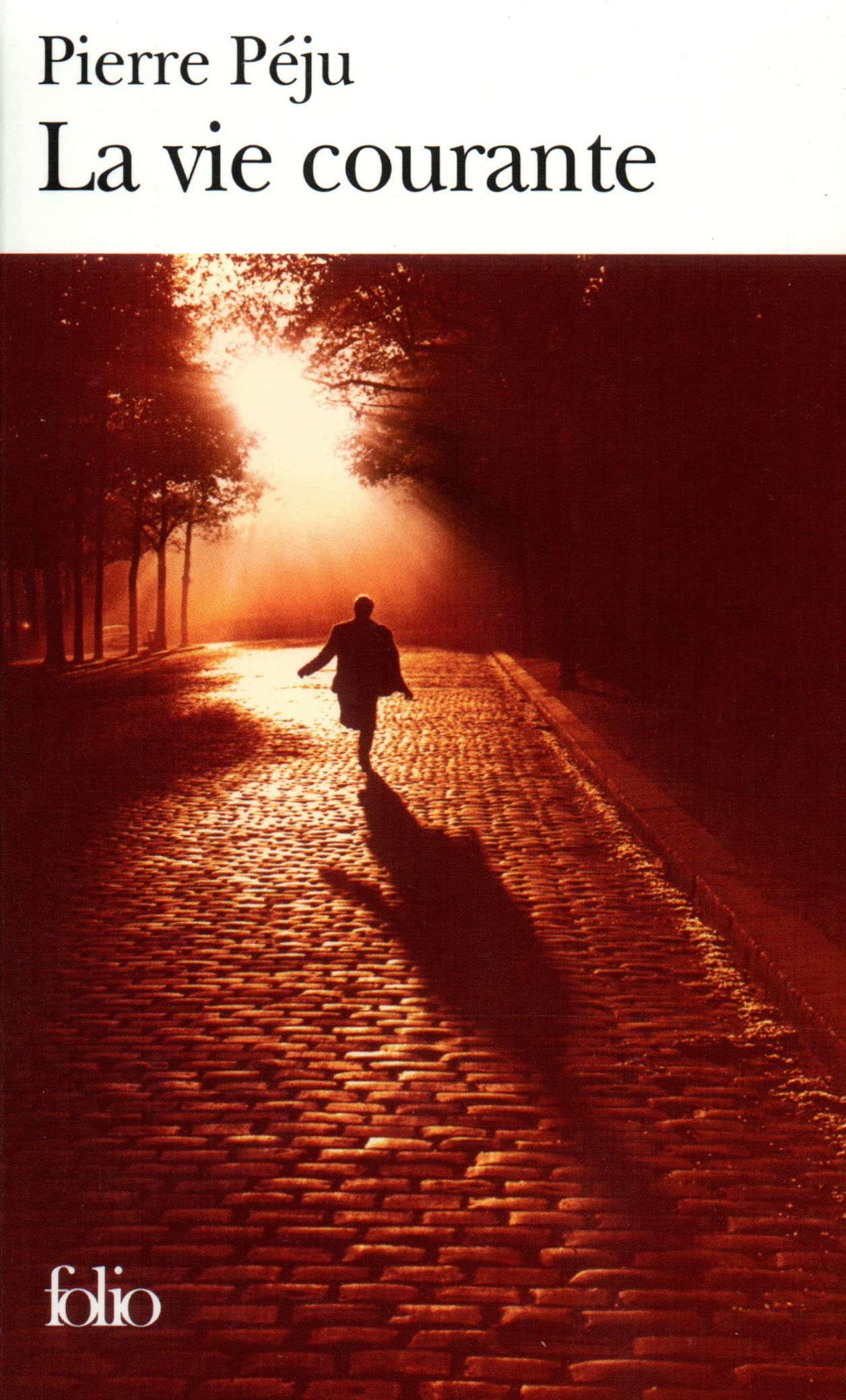 La vie courante 9782070312788