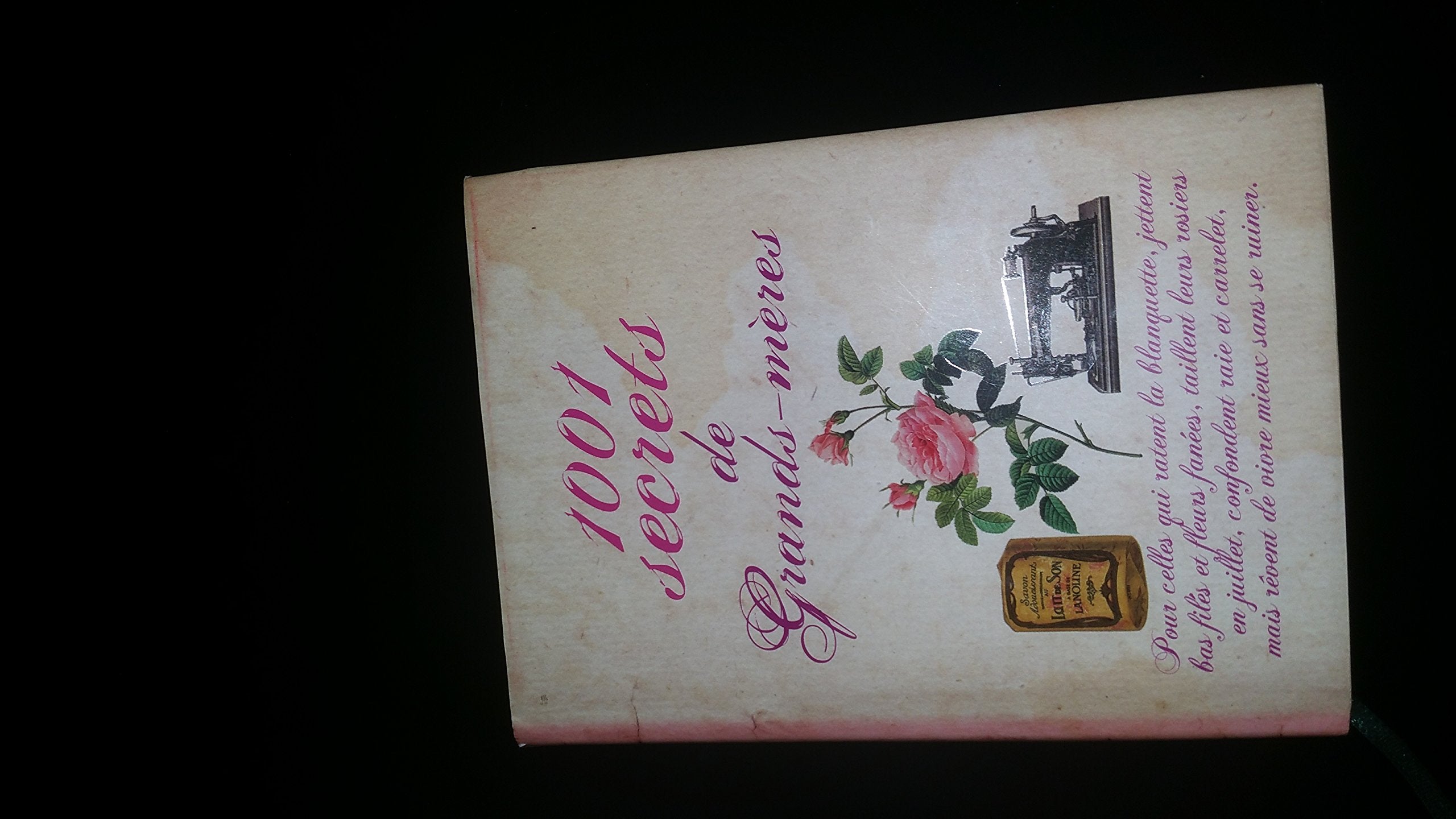 1001 SECRETS DE GRANDS MERES 9782298022643