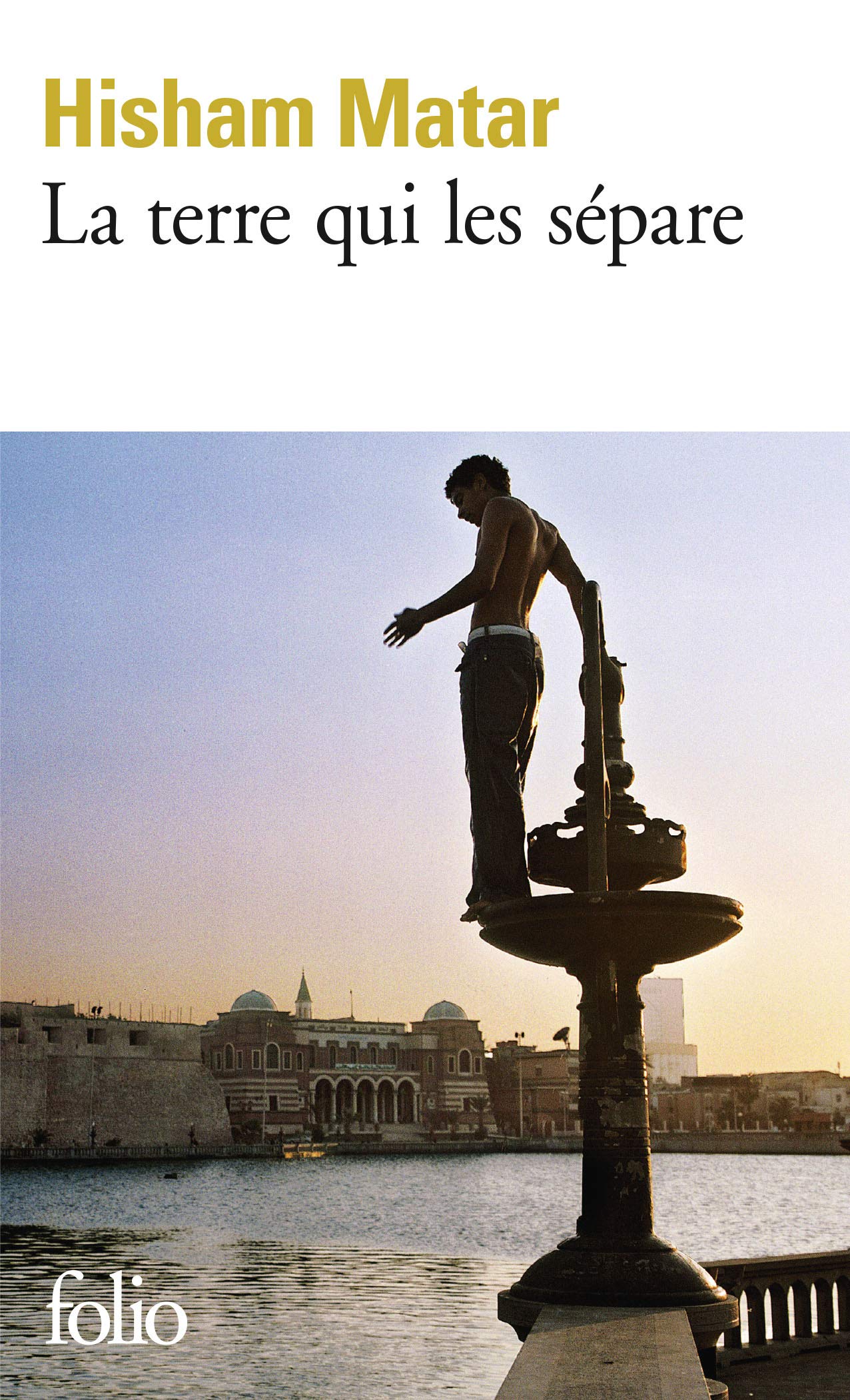 La terre qui les sépare 9782072794056