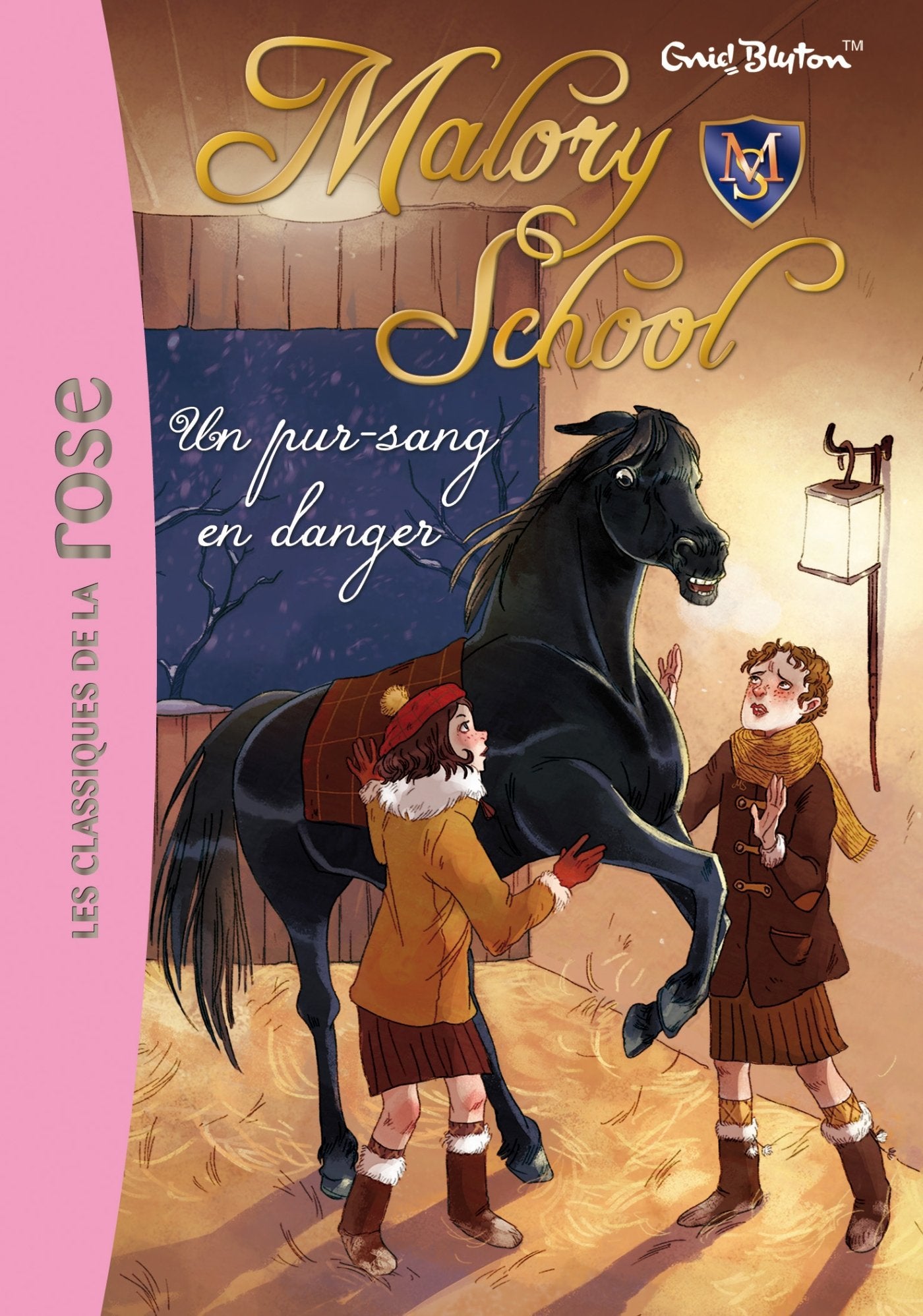 Malory School 03 - Un pur-sang en danger 9782012035966