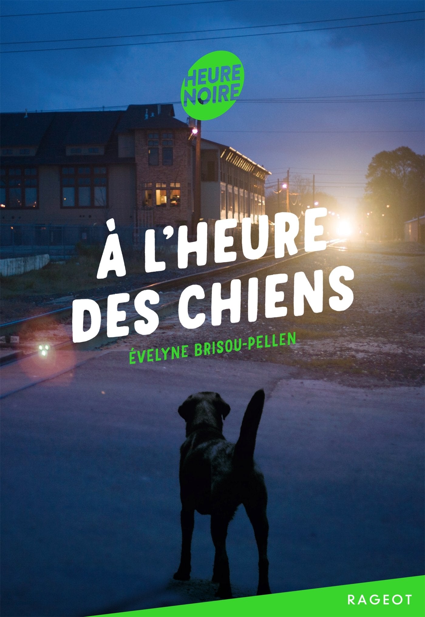 À l'heure des chiens 9782700253771