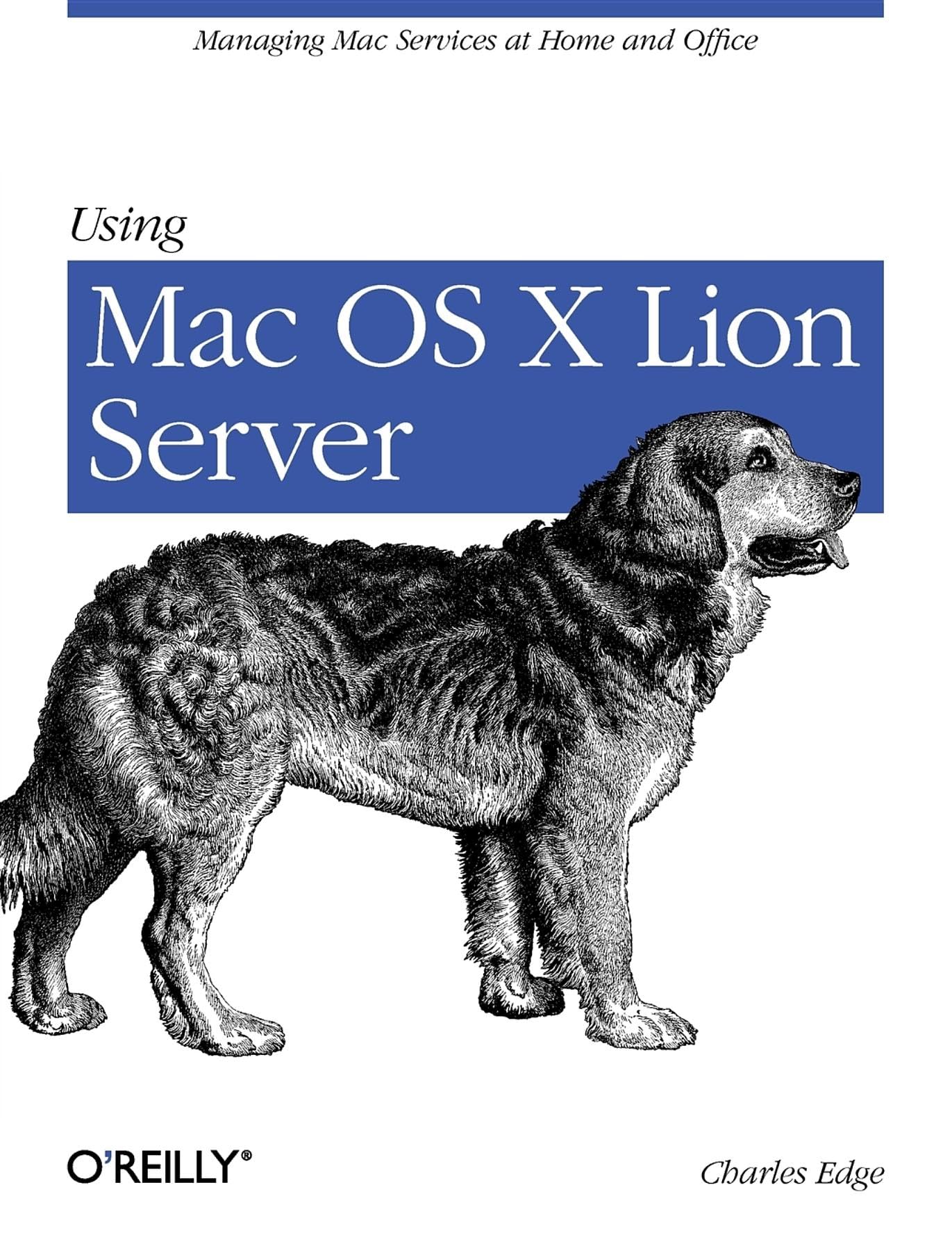 Using Mac OS X Lion Server 9781449316051