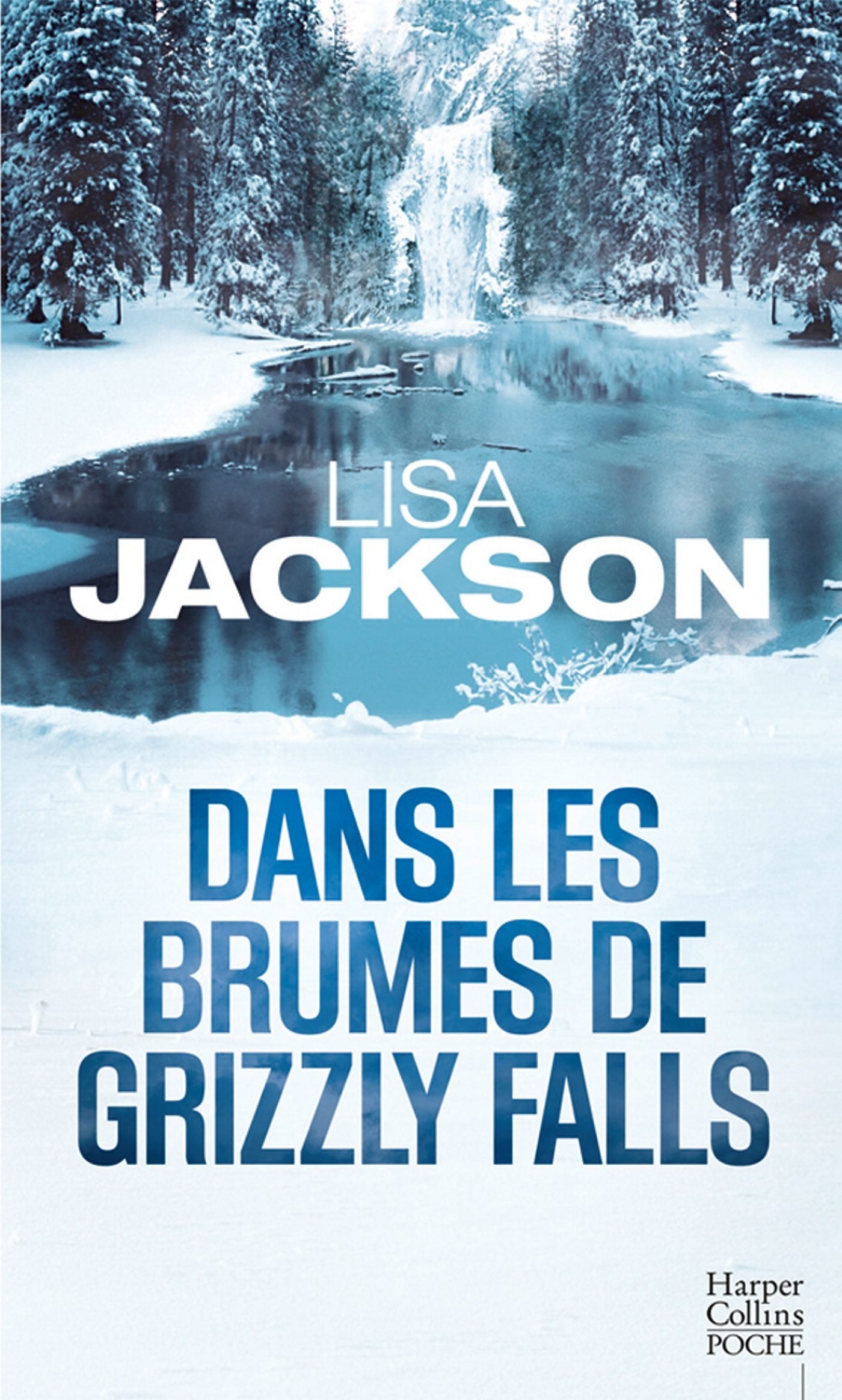 Dans les brumes de Grizzly Falls 9791033900481