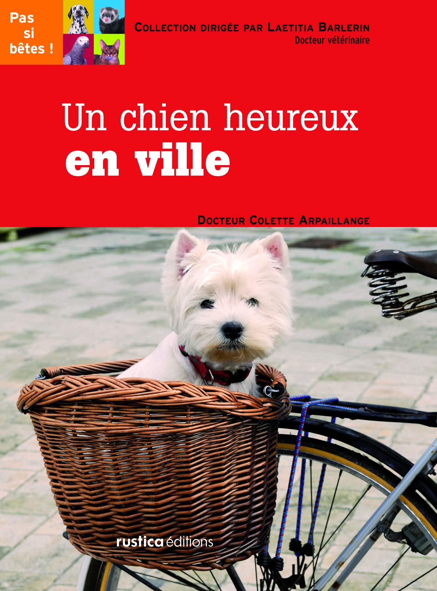 Un chien heureux en ville 9782840389705