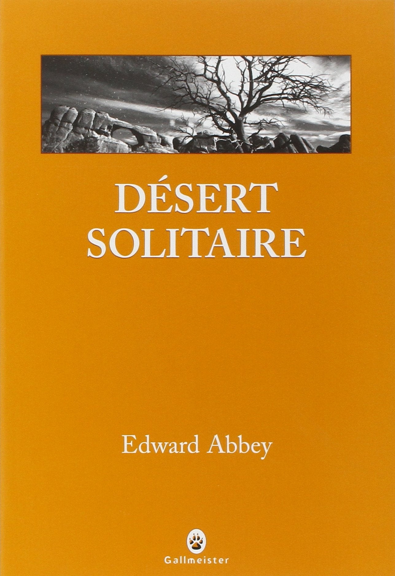 Désert solitaire 9782351780381