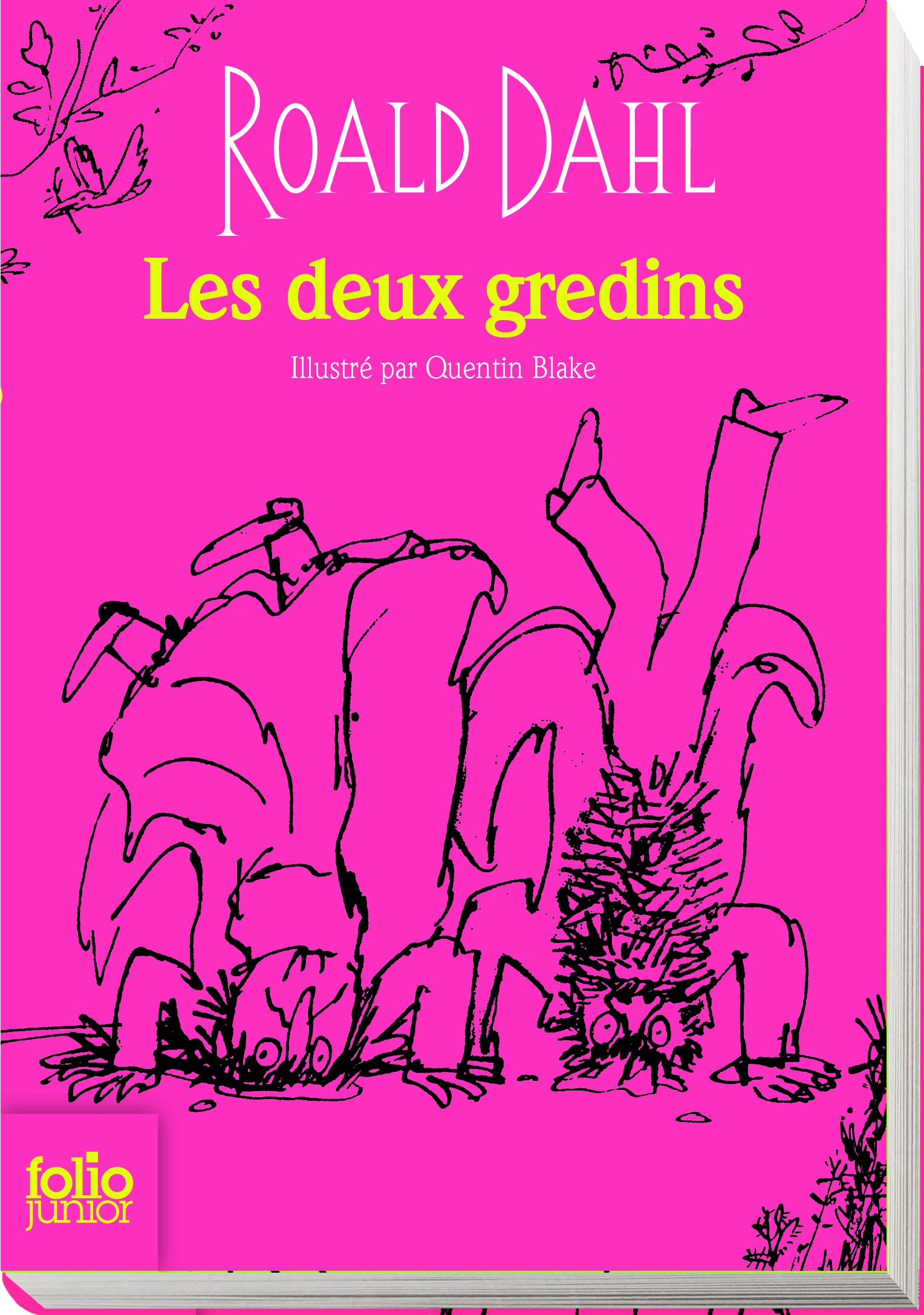 LES DEUX GREDINS - EDITION COLLECTOR 9782070655557