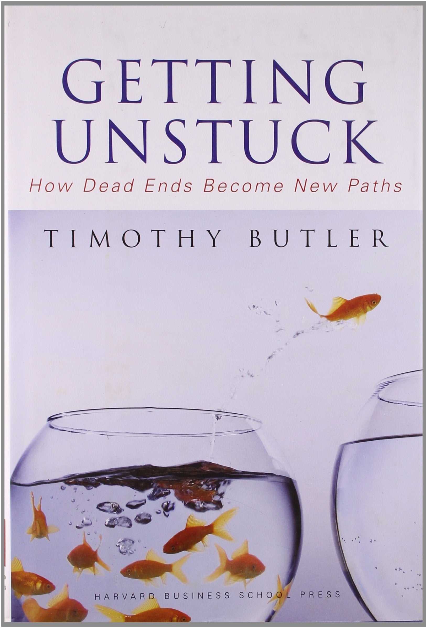 Getting Unstuck: How Dead Ends Become New Paths 9781422102251