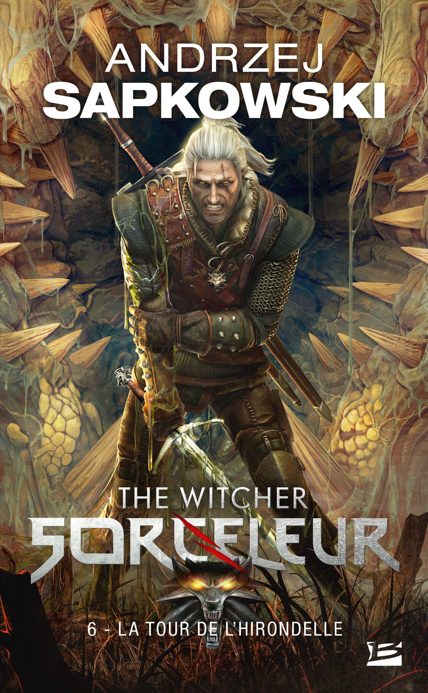 Sorceleur, Tome 6: La Tour de l'Hirondelle 9782811207489