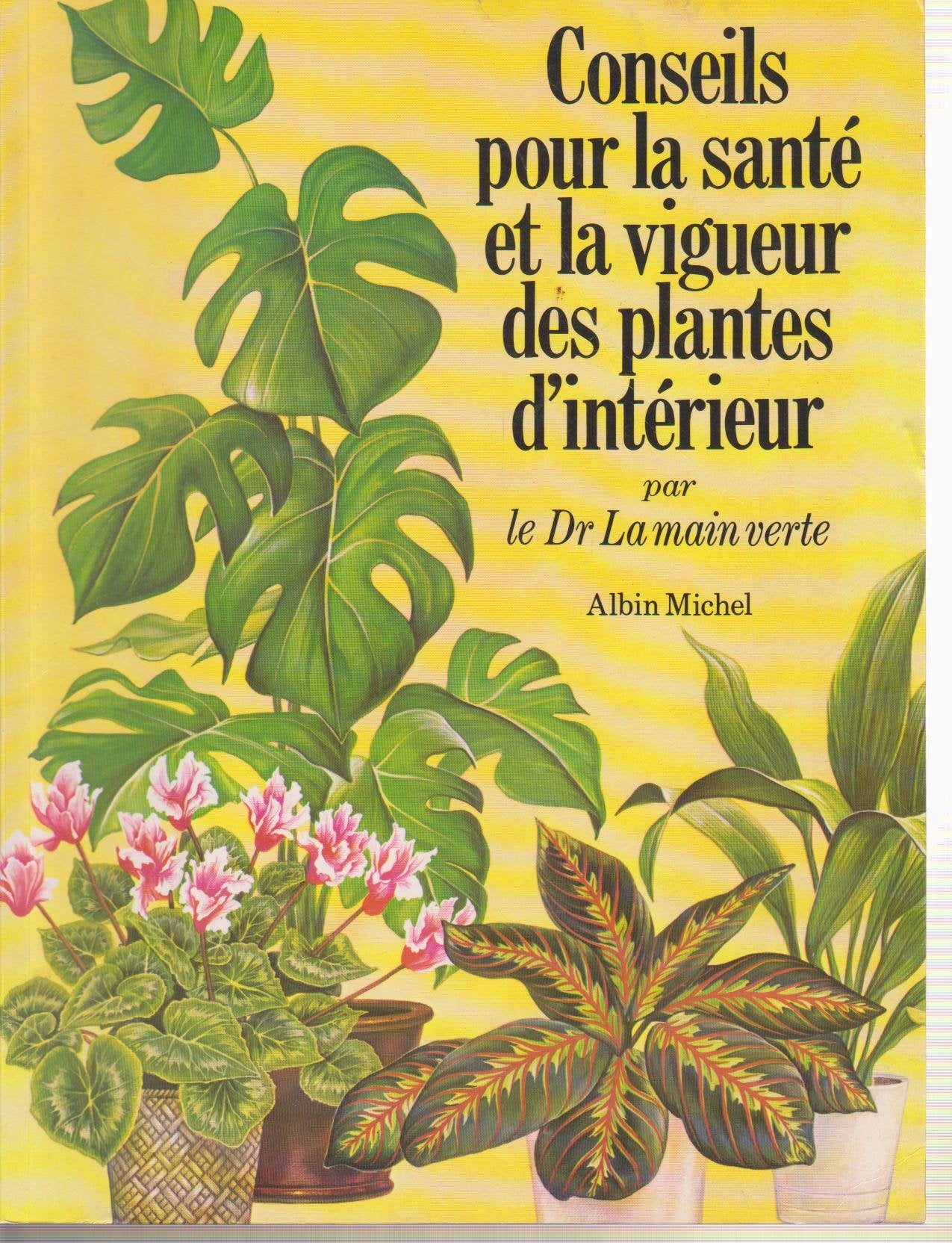 Conseils pour la santé et la vigueur des plantes d'intérieur 9782226012289