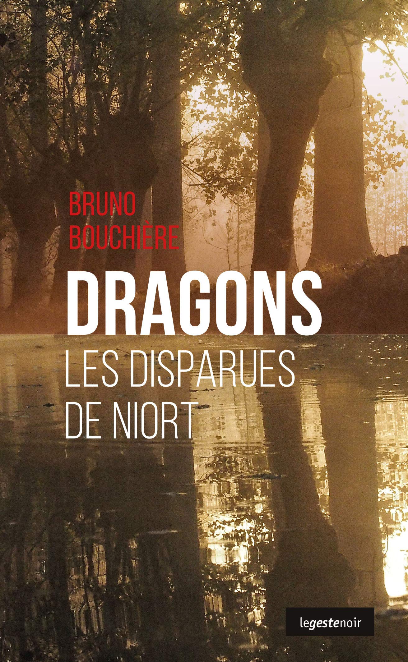 Dragons - les Disparues de Niort 9791035301897