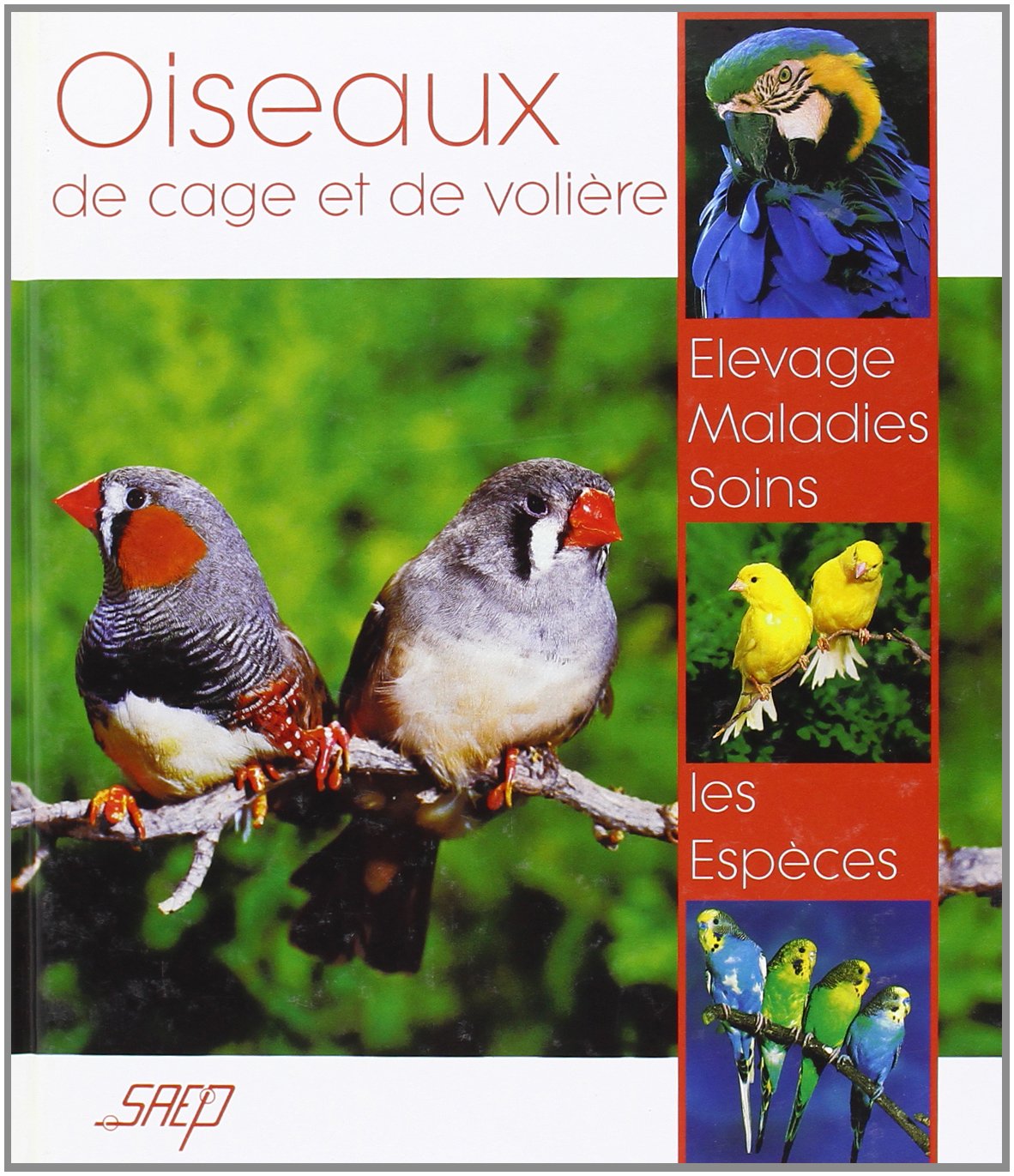 Oiseaux de cage et de volière 9782737246852