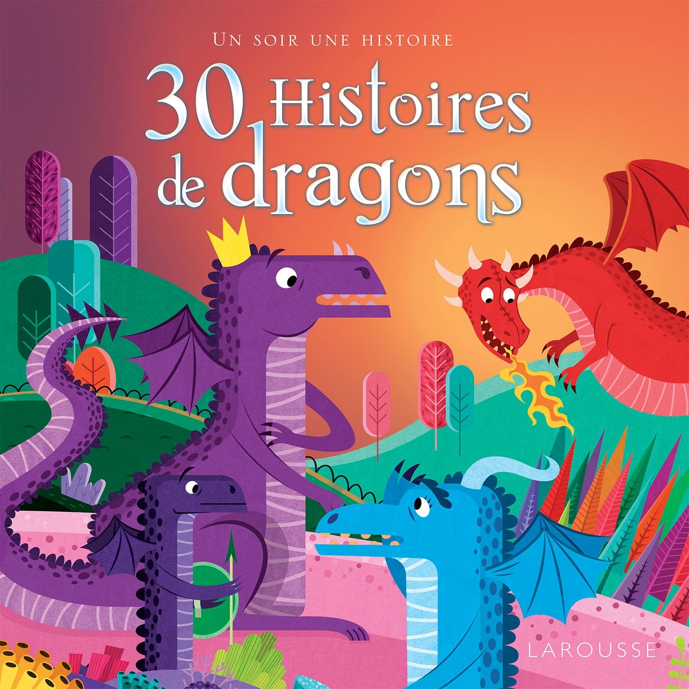 30 histoires de dragons 9782035930392